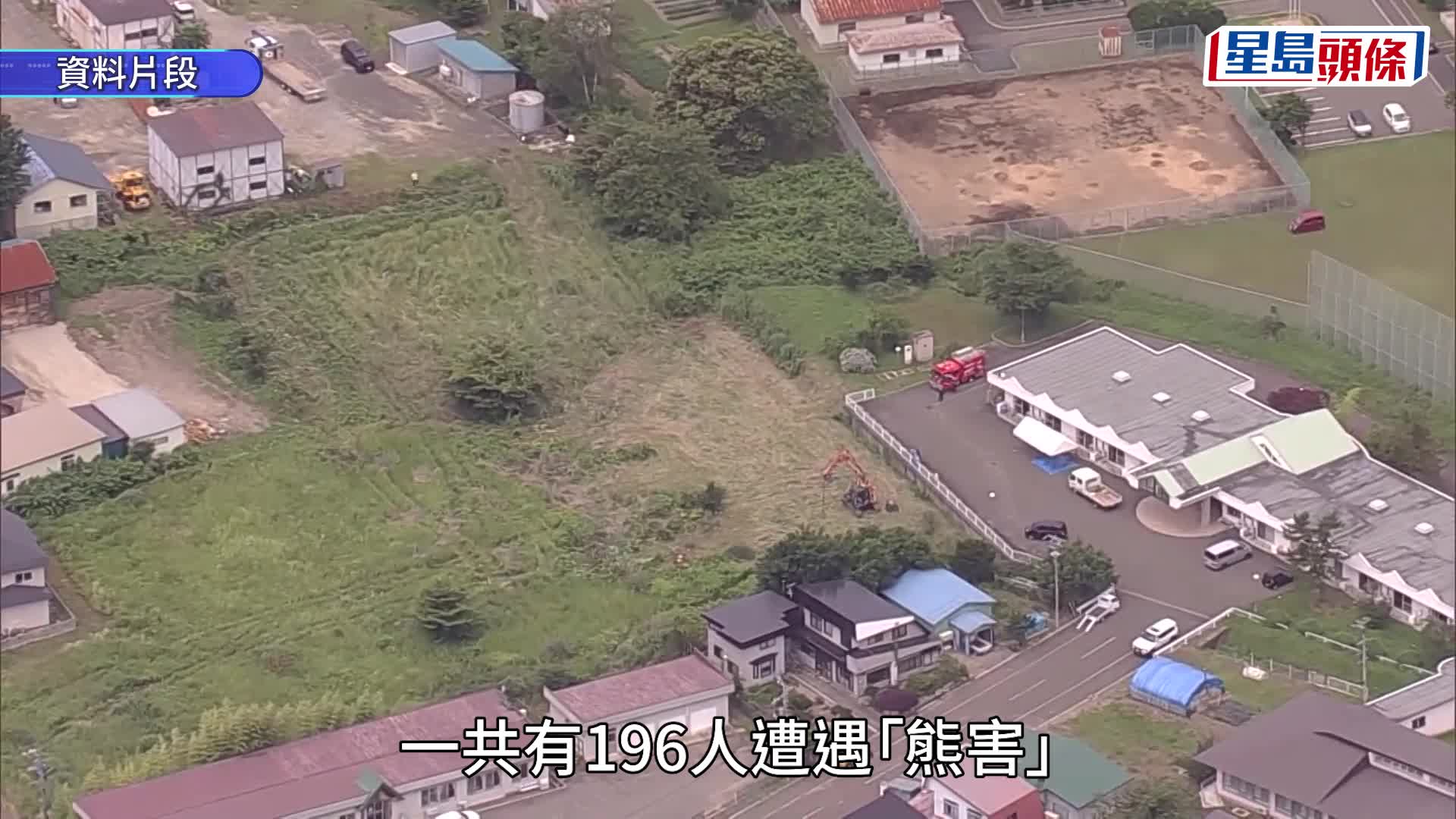日本熊出没 | 今年恐不冬眠 近200人遇袭13死 猎人惊讶：完全没脂肪