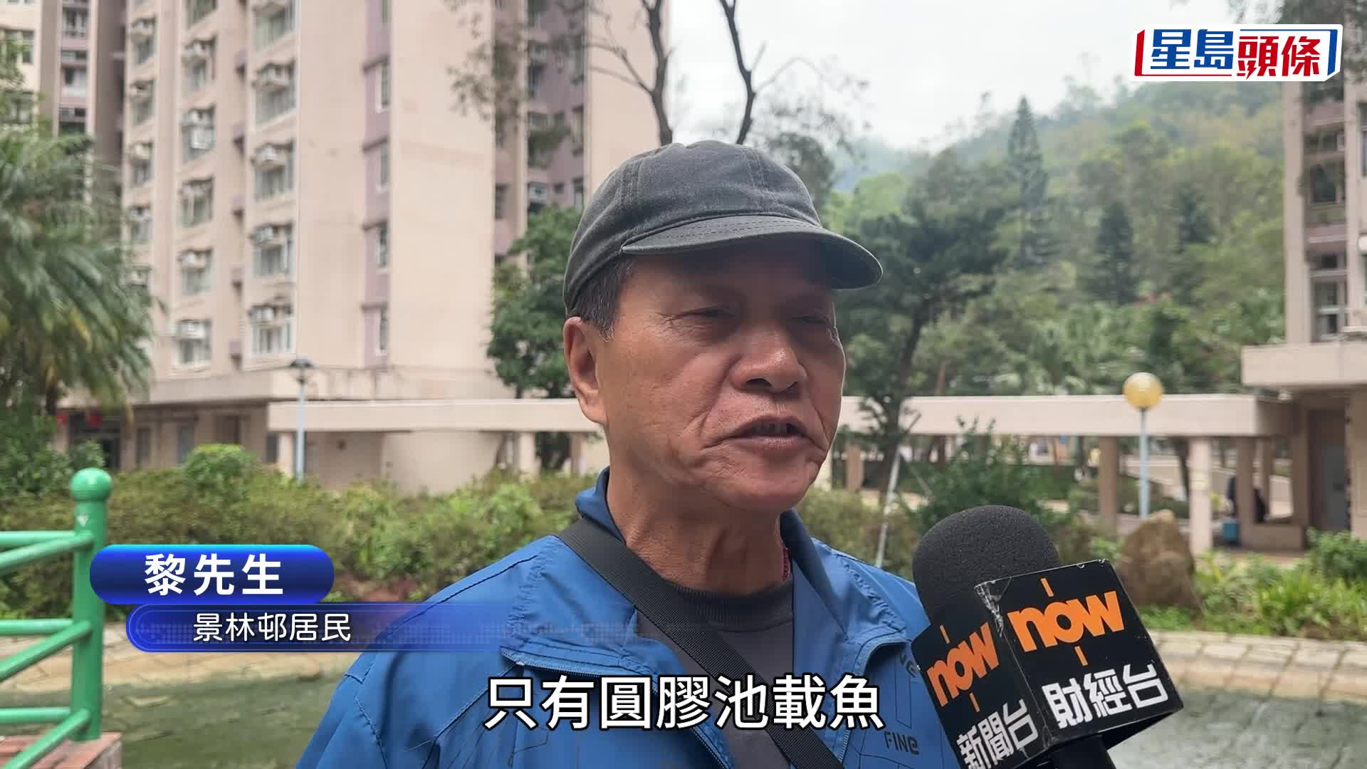 将军澳景林邨洗鱼池 逾百条鱼被捞起疑缺氧惨死 网民狠批「完全冇常识」