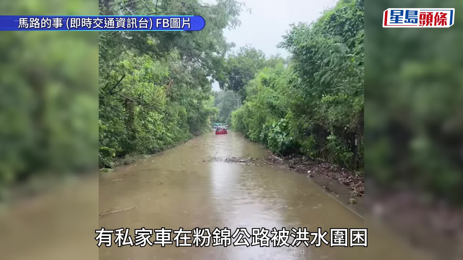 暴雨令到粉嶺高爾夫球場大水浸。fb社區天氣觀測計劃 CWOS圖片