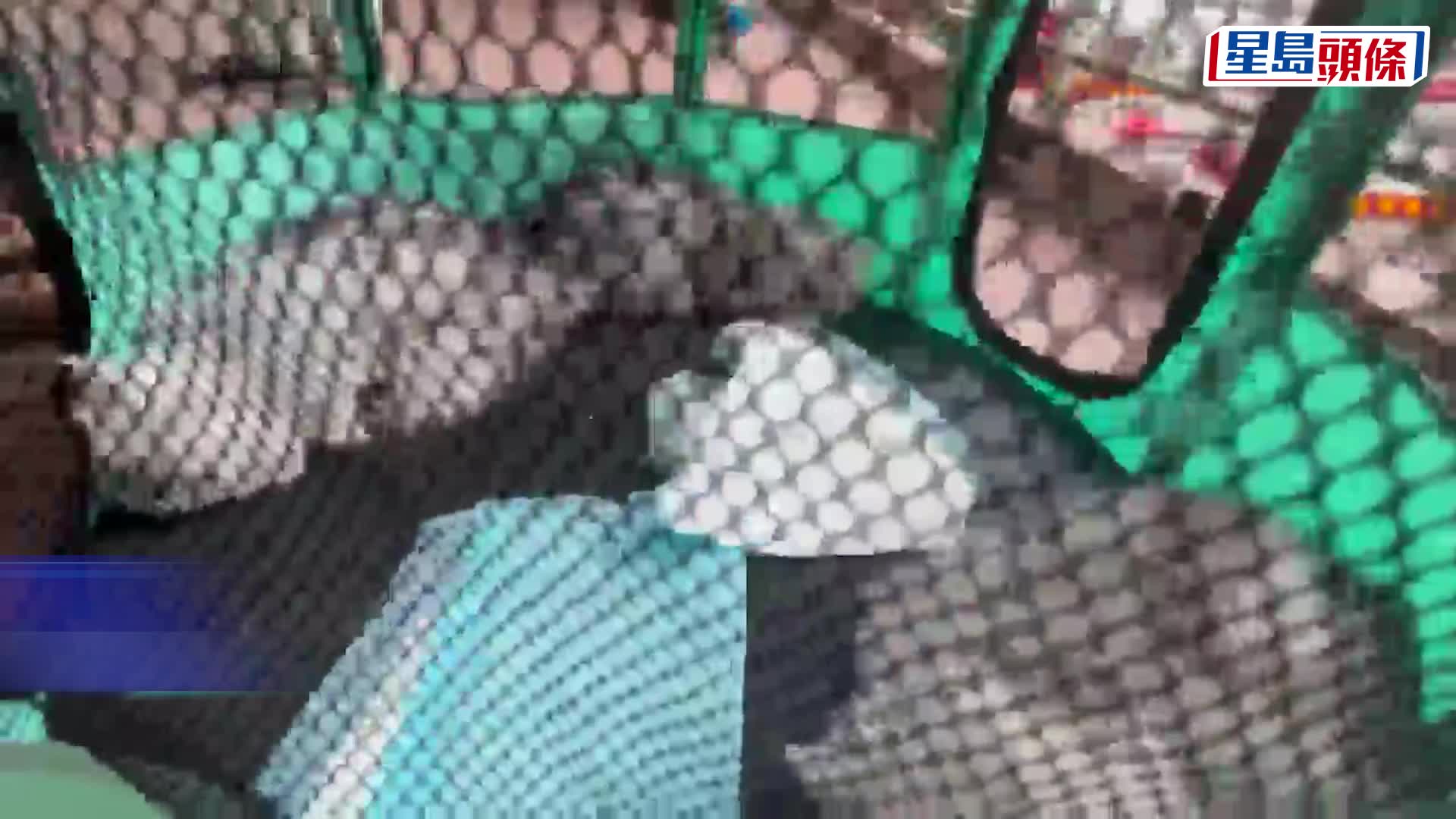 瀝源邨榮瑞樓高層起火。fb：沙田之友 