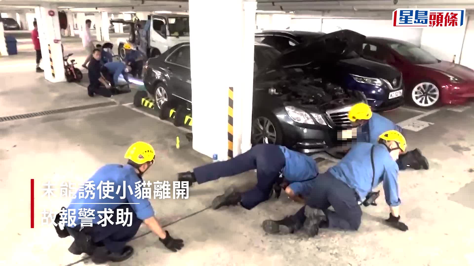 小貓匿Tesla車底被困 消防「瞓身」營救