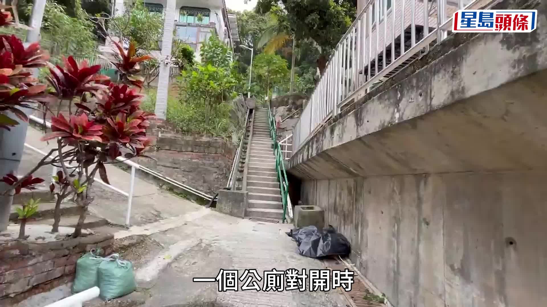 野豬咬人後滾落樓梯當場死亡。