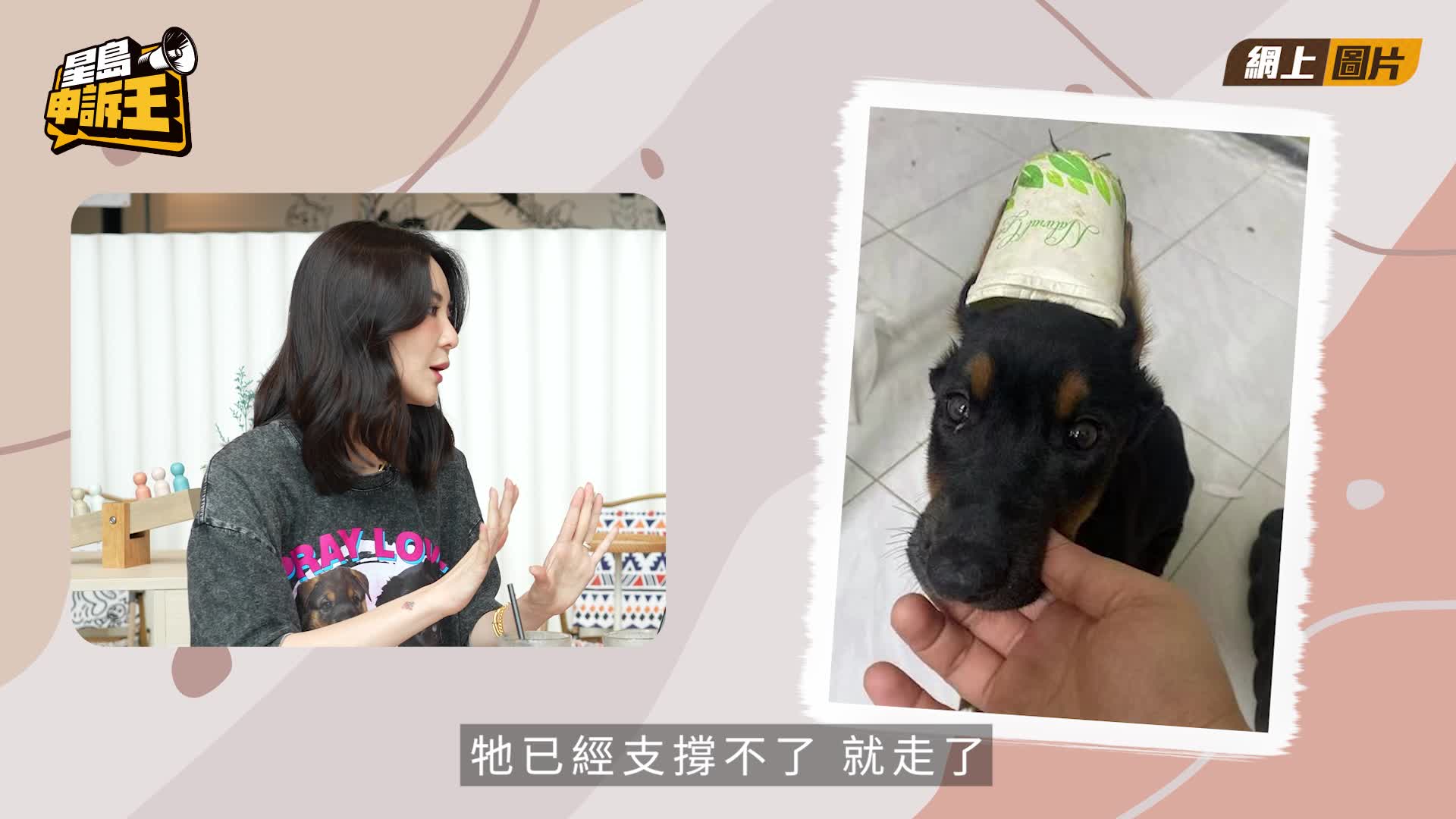 《星島申訴王》｜ 狗BB遭虐待剪耳遺棄慘死   裕美鬧爆虐狗狂徒：冇人性等天收！