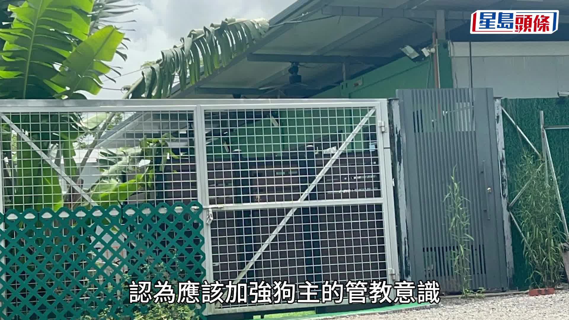 打鼓嶺狗咬死人｜村民驚魂未定 坦言不時見狗隻無人牽引遊走 促加強規管