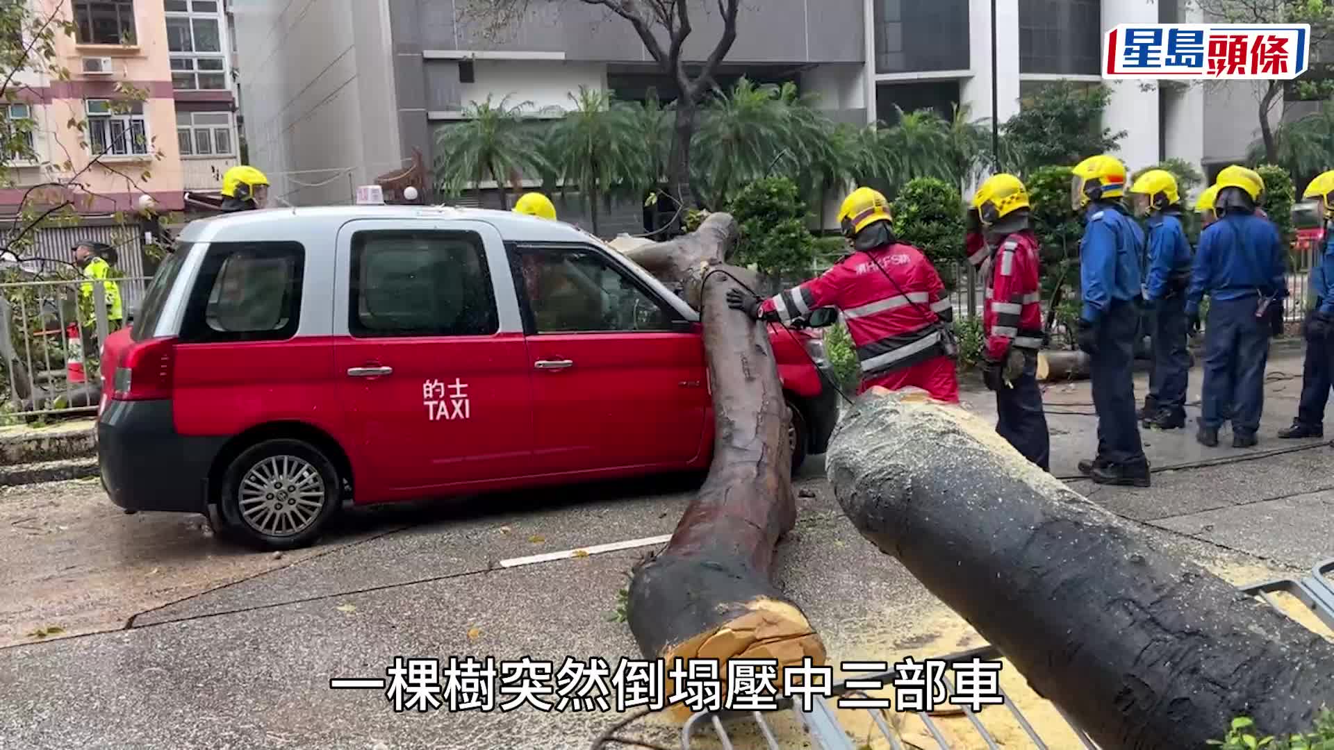 車CAM片段由「吐露港的受害者」提供。