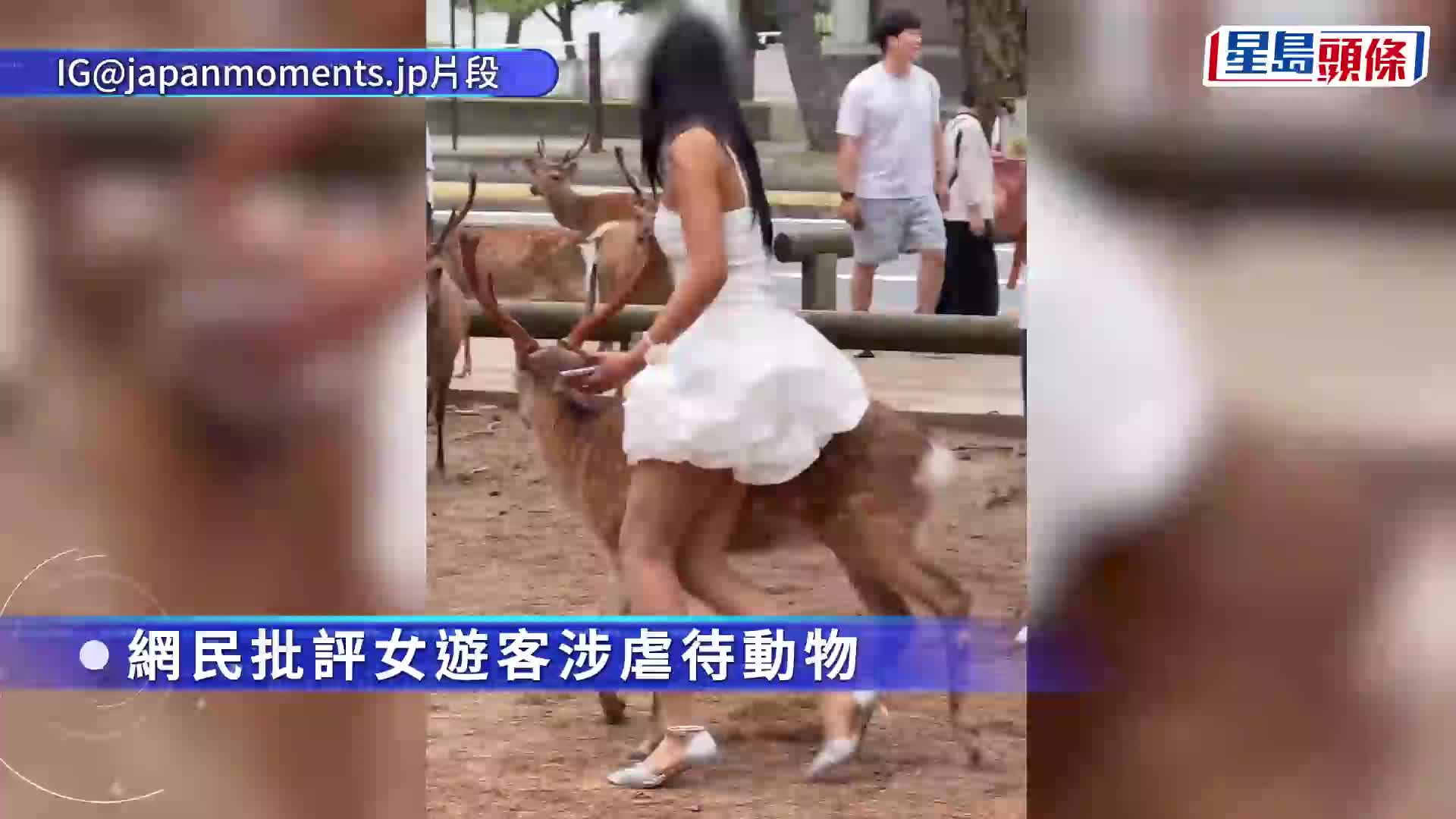 無品遊客｜短裙女硬騎奈良鹿打卡 義工揭該鹿曾遇車禍骨折轟「虐待」