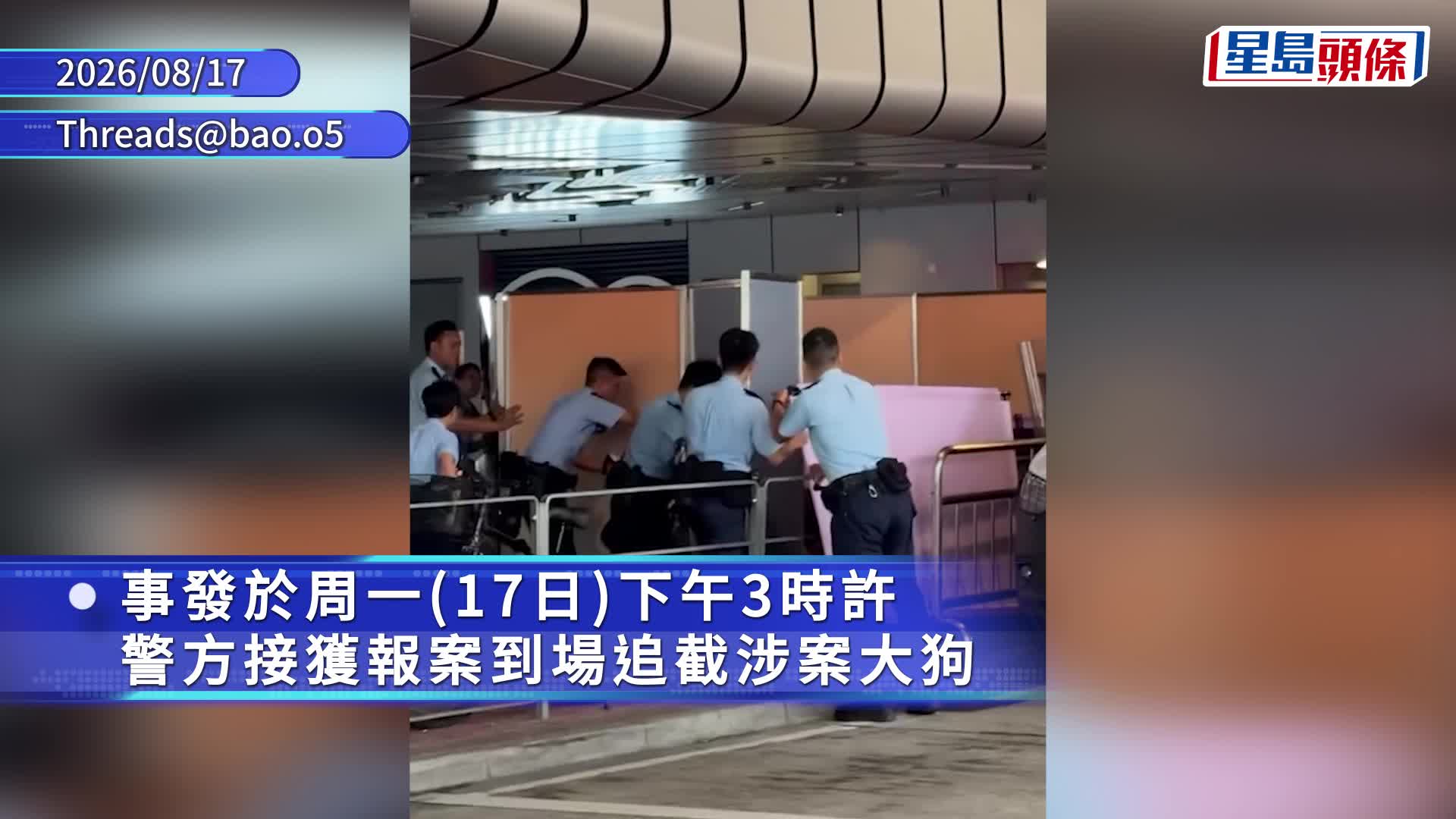 元朗YOHO大狗失控咬死细狗鲜血淋漓 有人崩溃跪地 多名警员协助制服