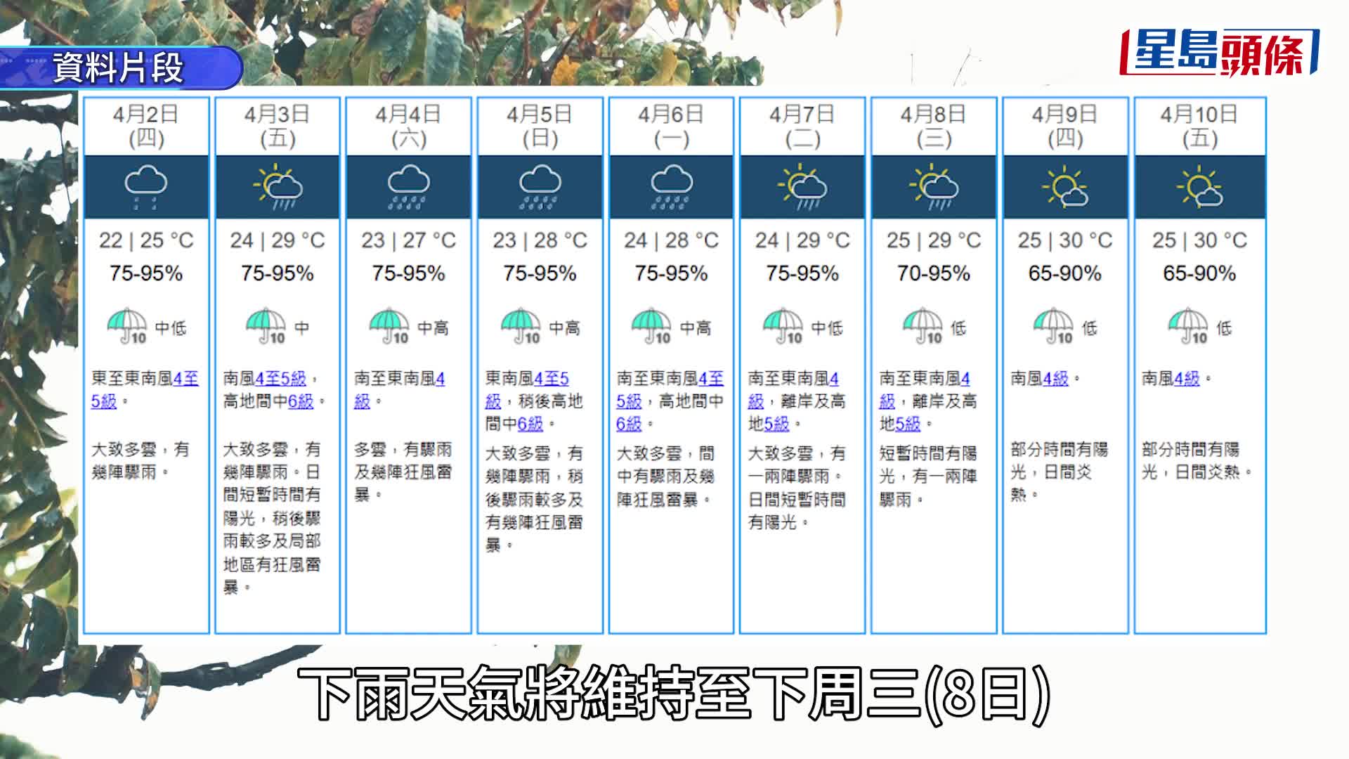 拜山注意｜天文台料落足8日雨 清明節驟雨較多有幾陣狂風雷暴