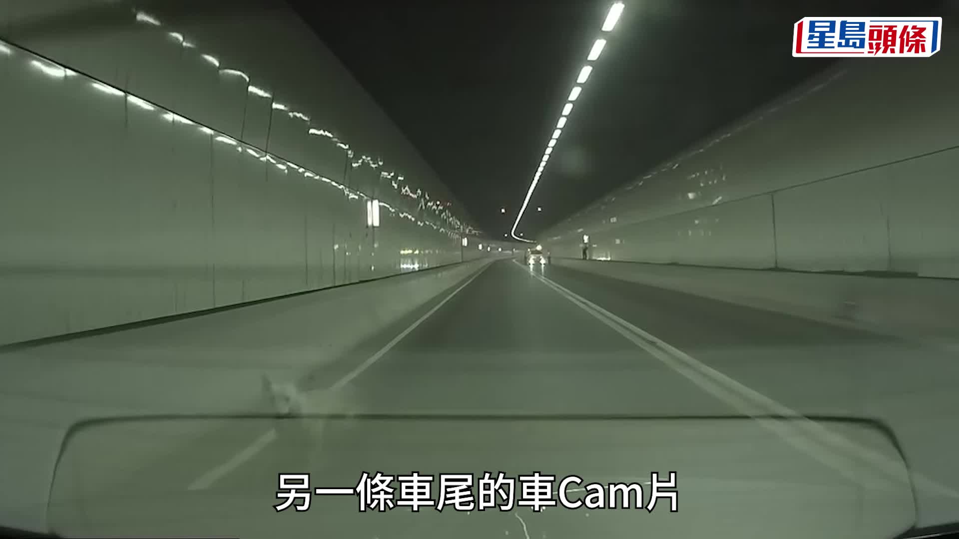 唐狗在龍山隧道管道內亂跑