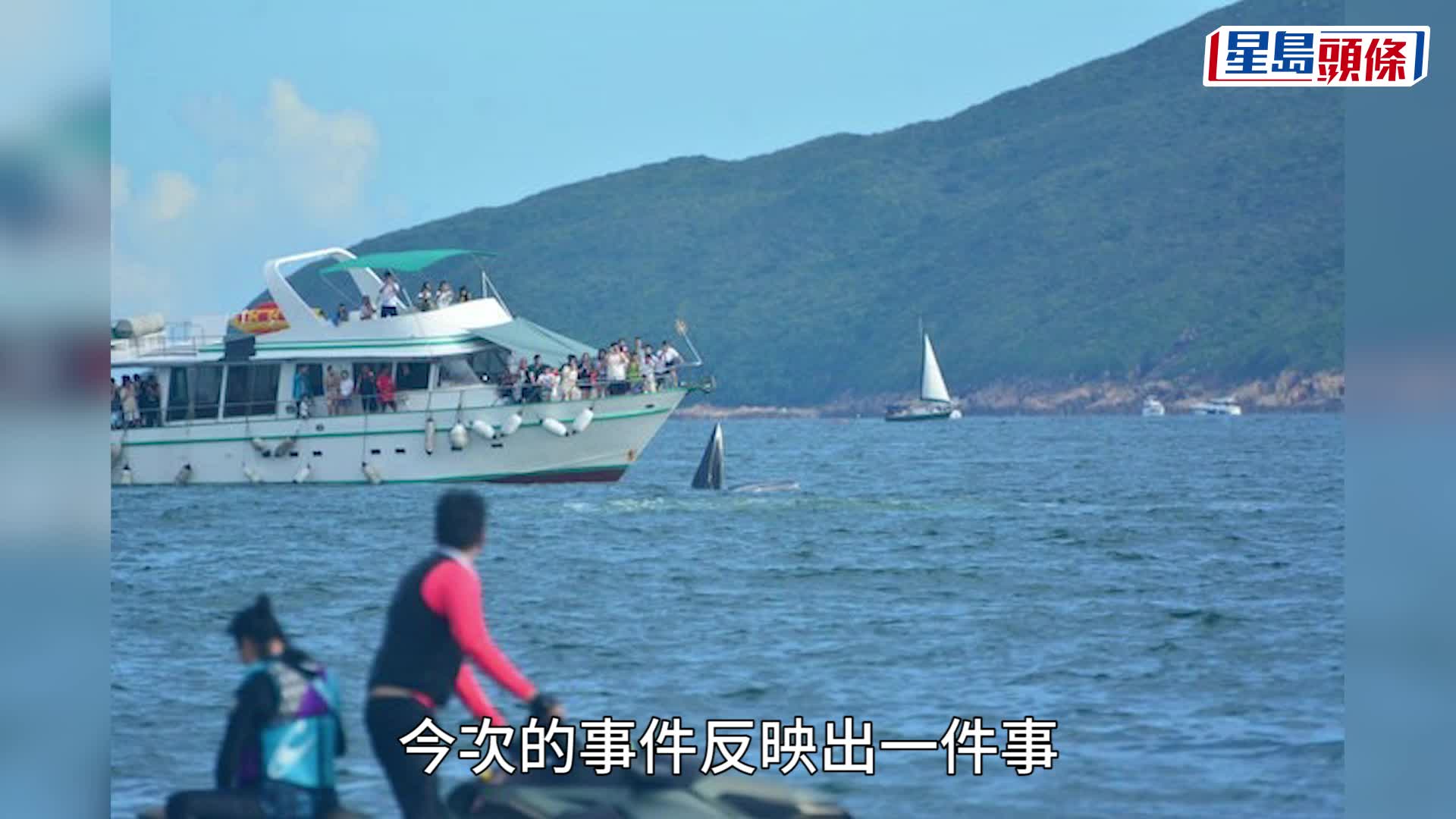 西贡鲸鱼剖尸化验调查死因 谢展寰：未来将检视法例赋权渔护署应变