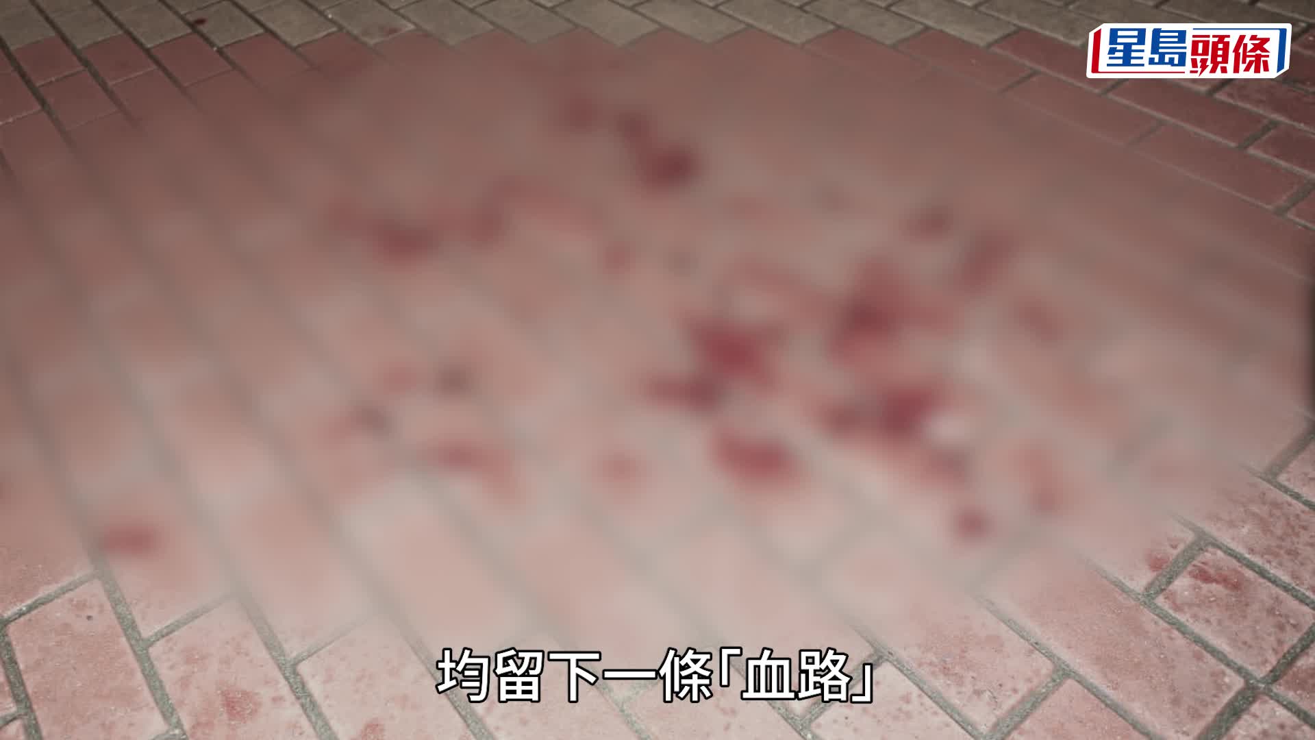 黎志偉攝
