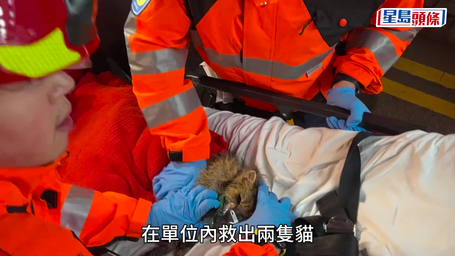 屯门景峰花园低层单位起火 3人受伤送院 女户主手部二级烧伤