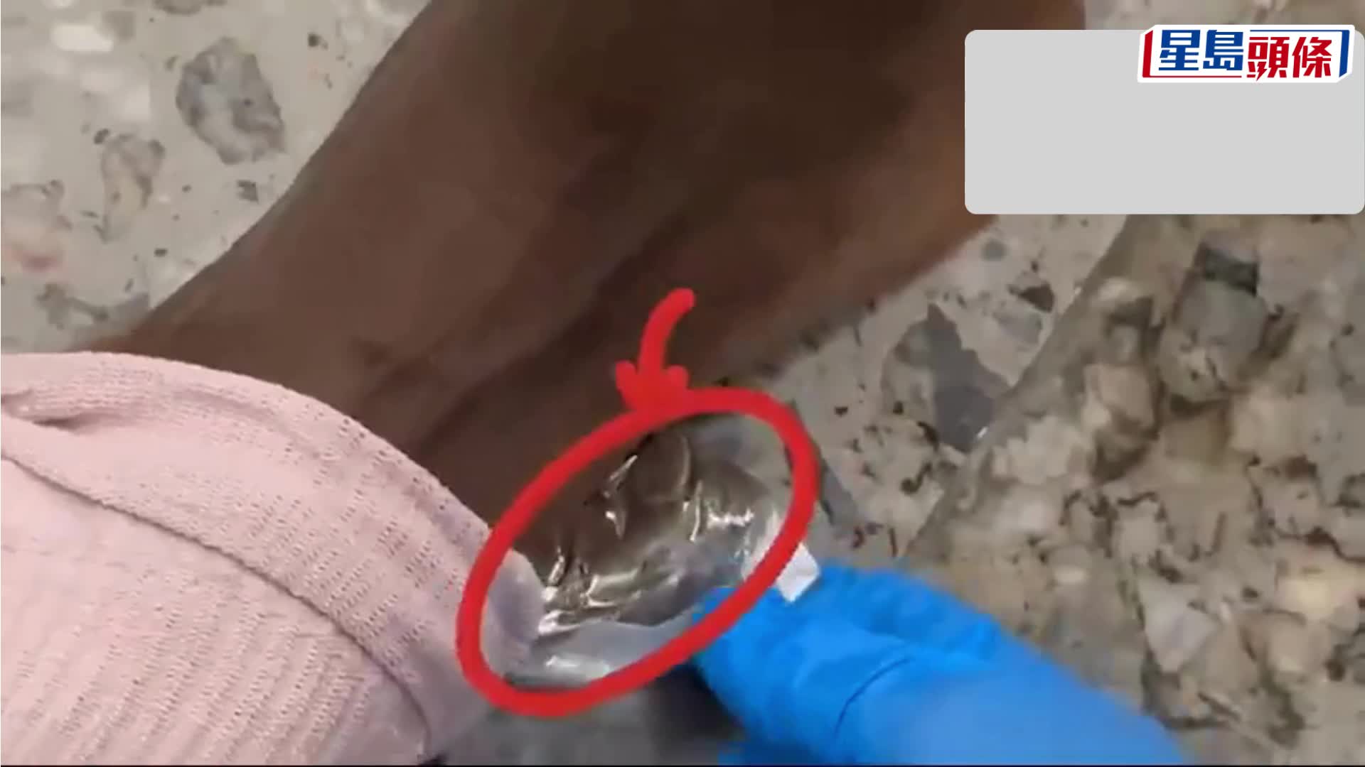 海關聞出刺鼻氣味，揭西九龍站北上男雙腳襪內藏大麻。