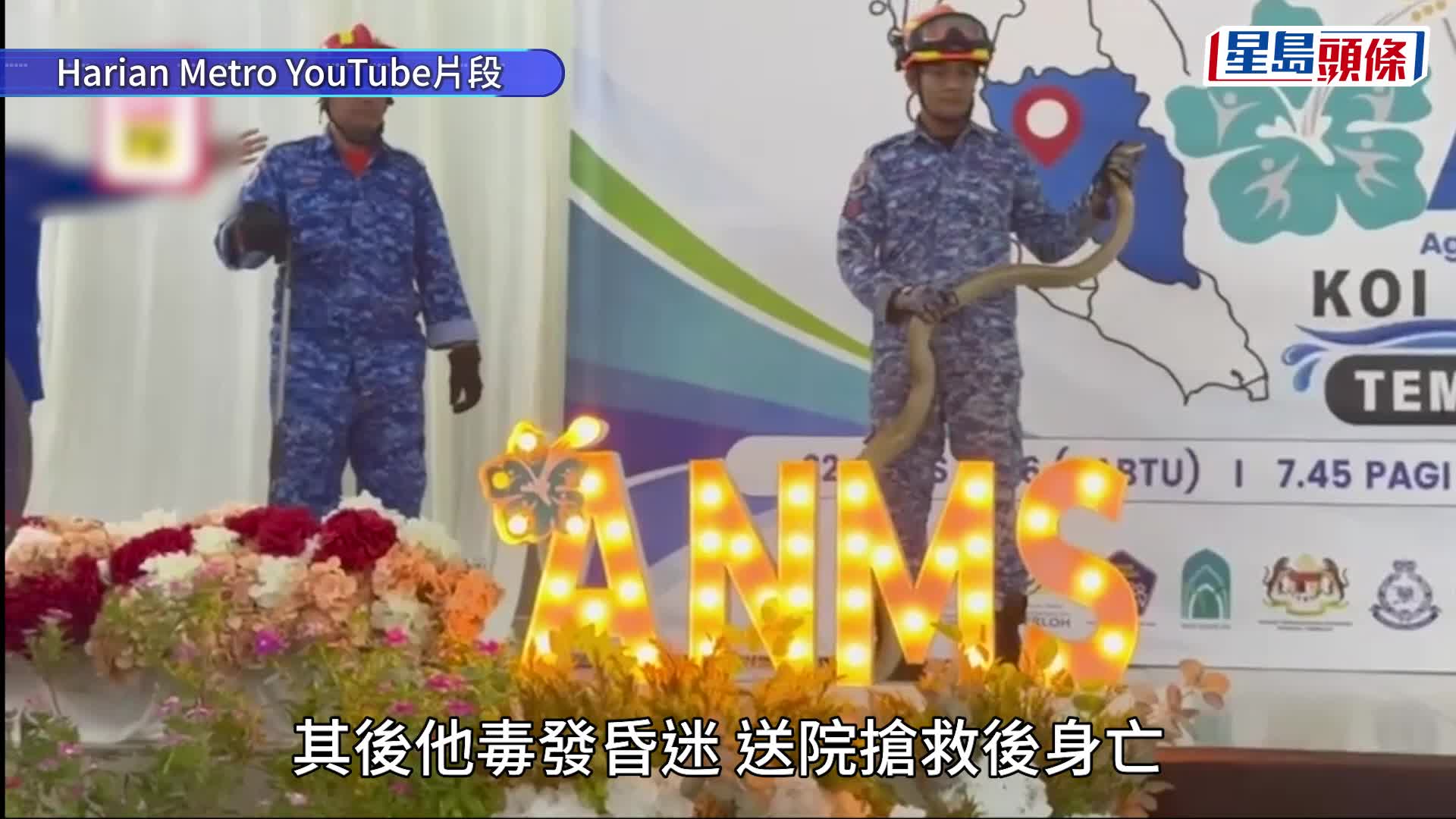 馬來西亞民防隊員示範防蛇 不慎遭「劇毒眼鏡王蛇」咬中指 忍痛收蛇後倒地身亡