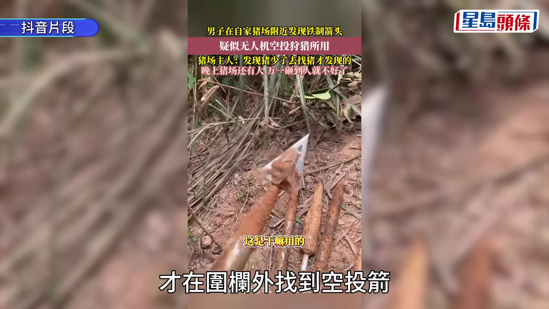 多地興起無人機獵殺風 家畜頻遭空投箭矢射死