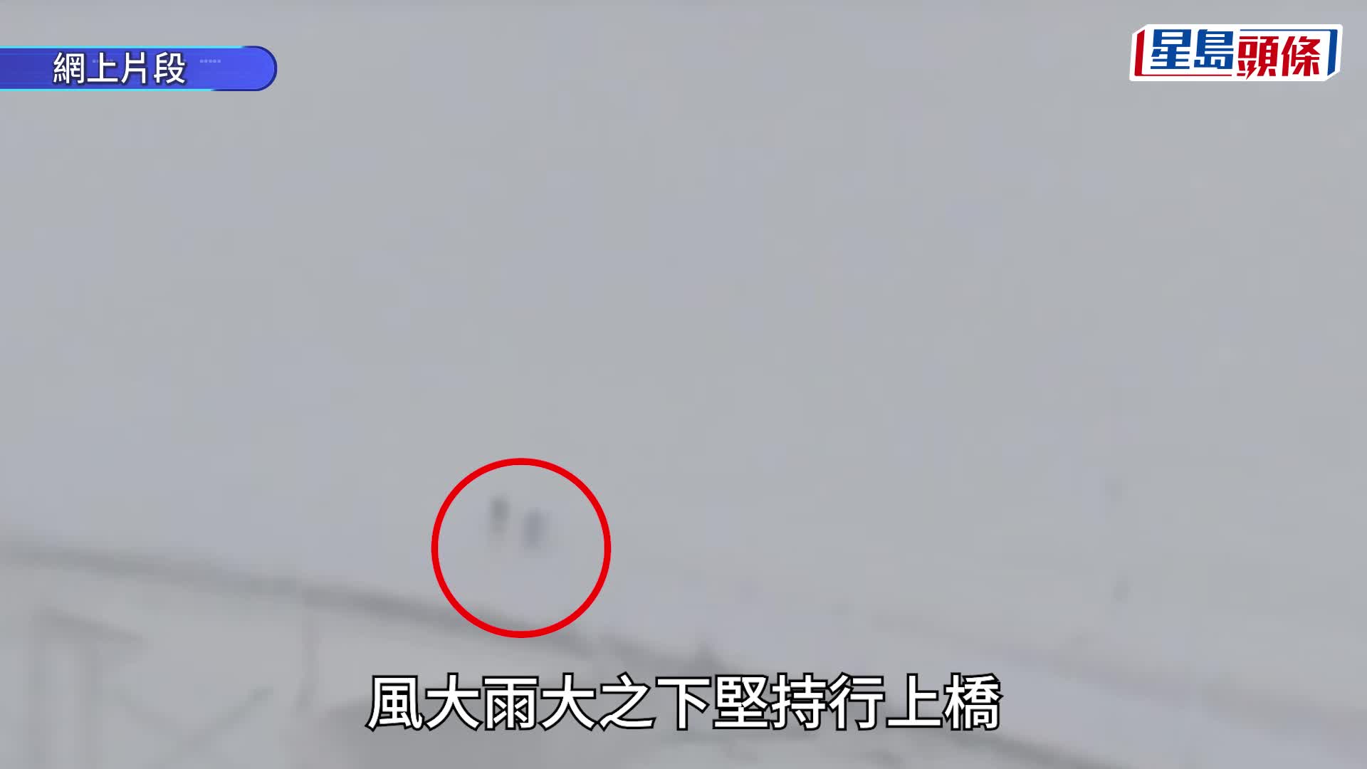 韋帕颱風．有片｜澳門兩旅客9號風球下 推篋行大橋被截獲檢控