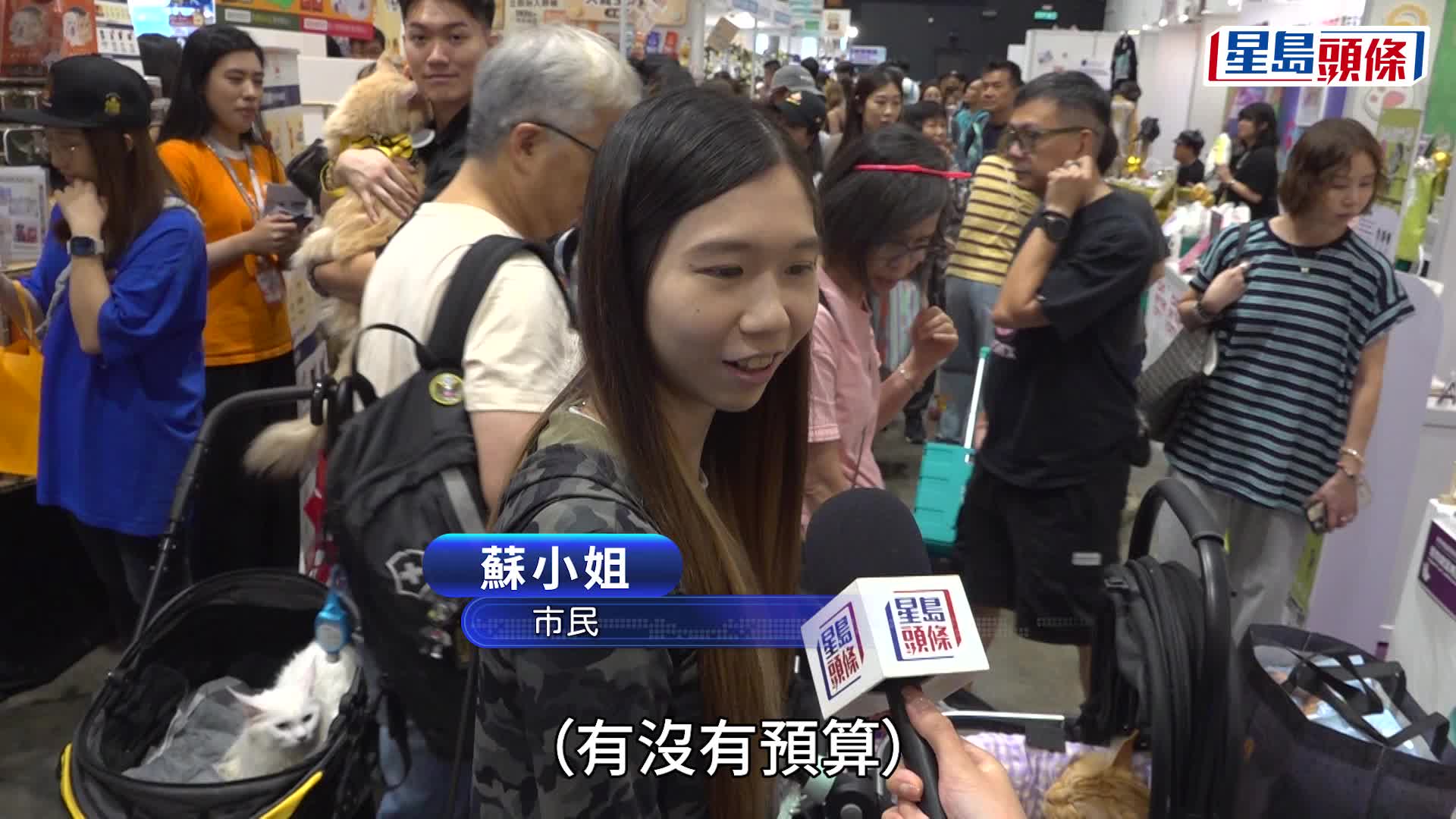 香港貓迷博覽會2026｜首次京港同步舉辦寵物展 貓主豪花數千元掃貨 展商指消費氣氛熾熱