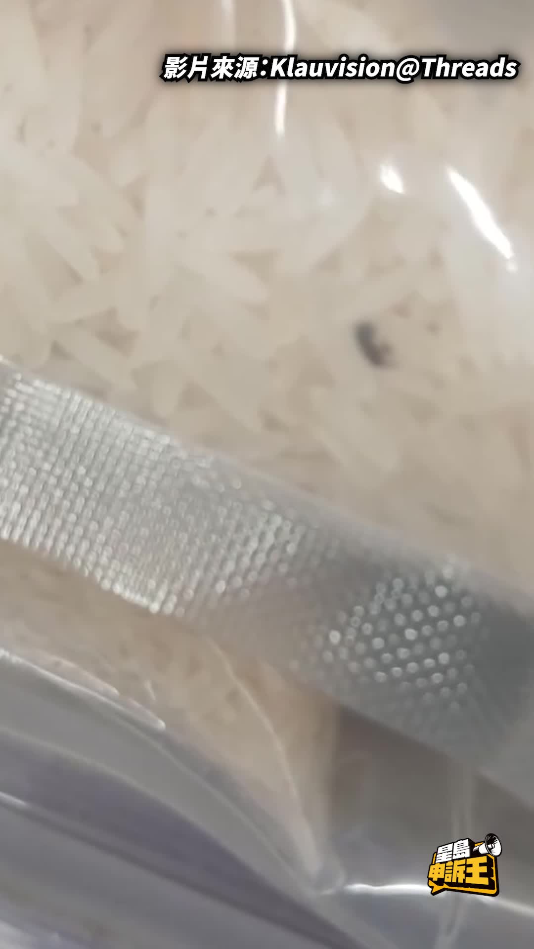 星島申訴王｜大型超市買米驚見有蟲！袋外生猛蠕動極嚇人 滅蟲專家教白米驅蟲大法