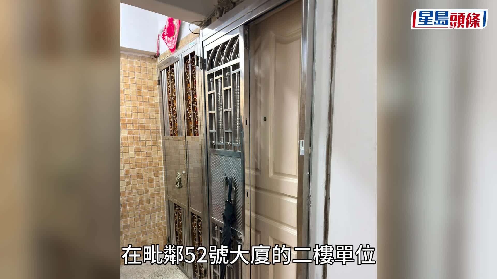 深水埗鳄鱼｜附近单位再检最少30只爬虫动物 包括蛇及蜥蜴 35岁女子被捕