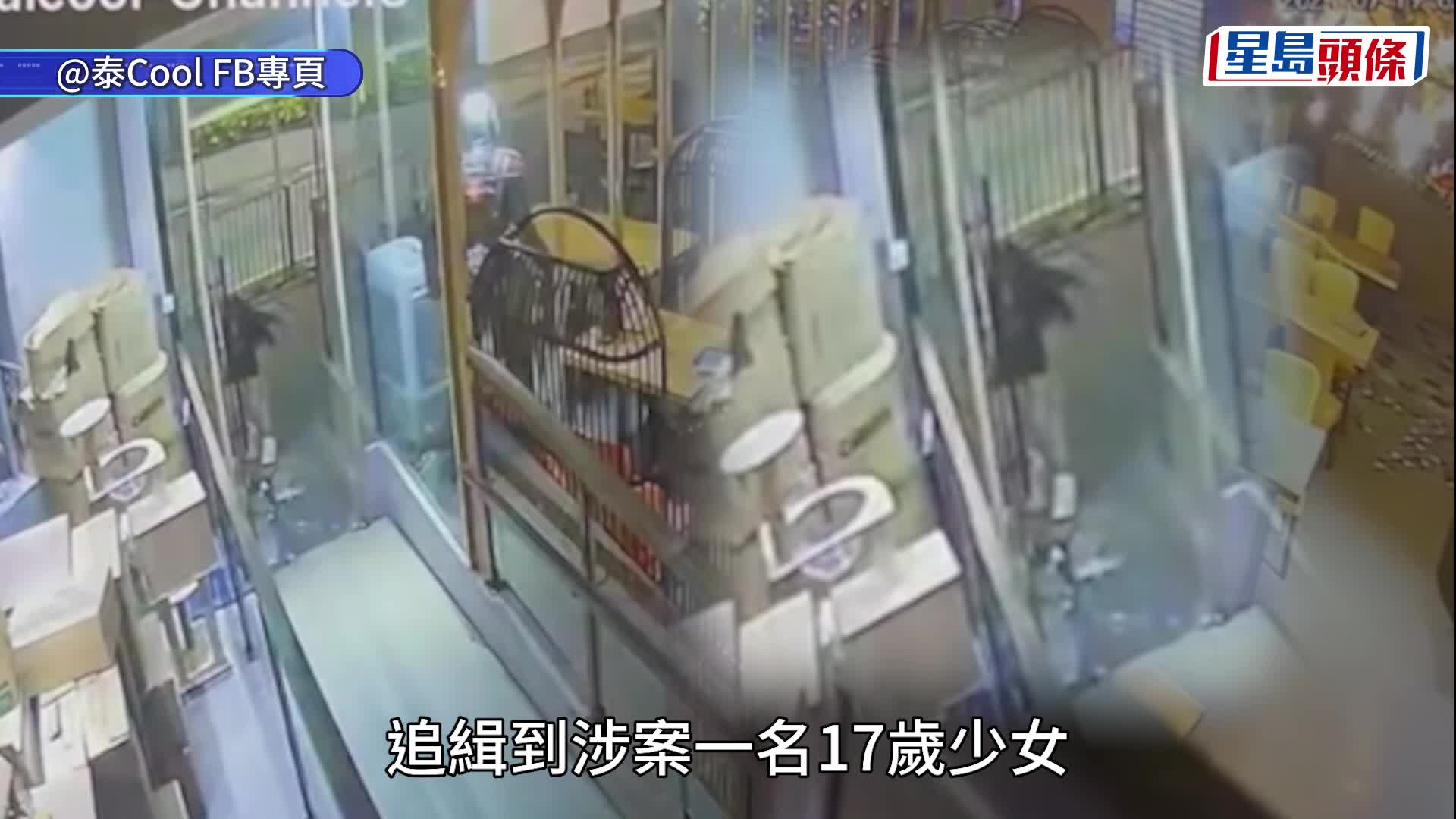 九龍灣泰國餐廳貓店長「泰妹」被抱走  年輕情侶涉盜竊被捕