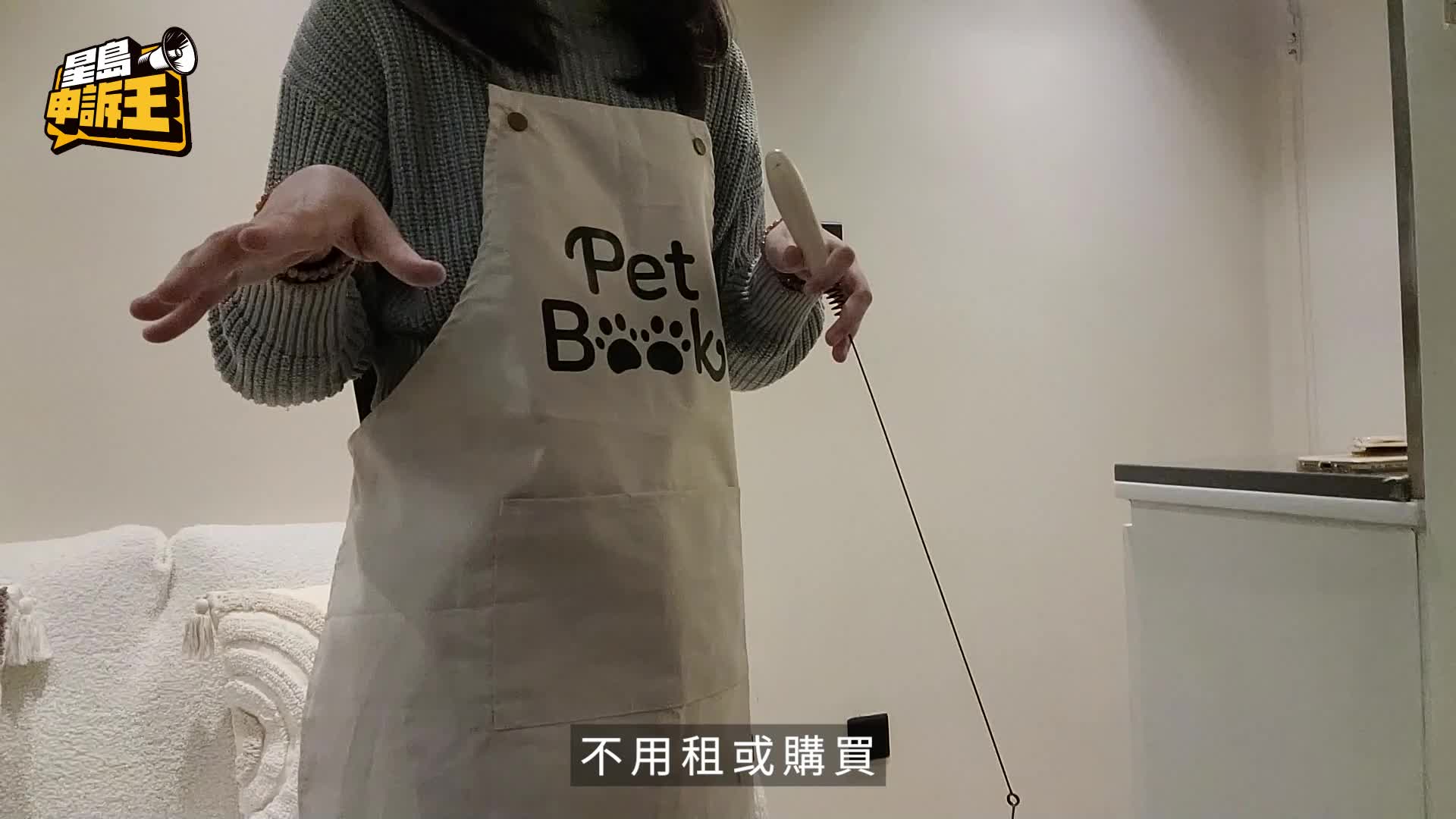 星島申訴王|寵物店$800出租貓咪 網民鬧爆 店主獨家受訪 揭事件背後真相