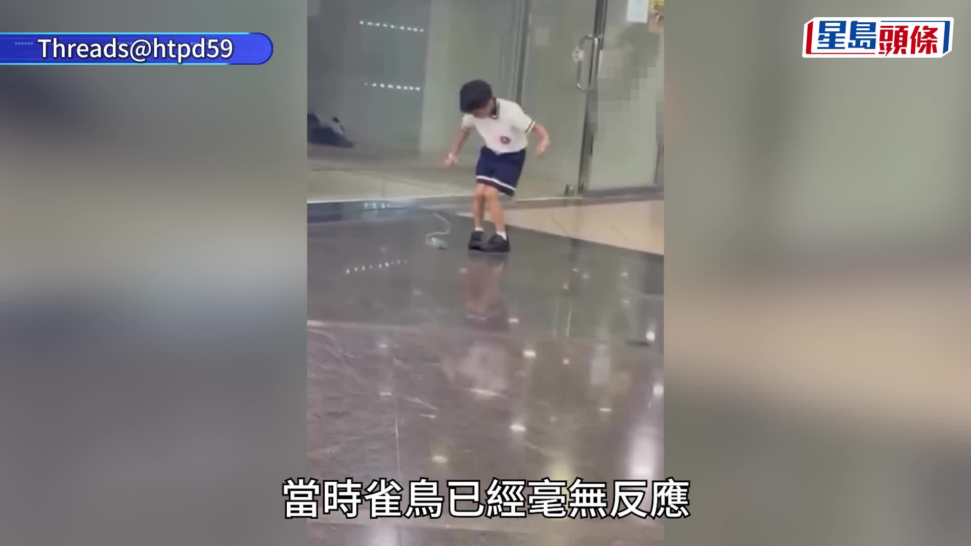 屯門男童繩綁雀鳥「吊吊揈」 放地面拖行 警列殘酷對待動物跟進