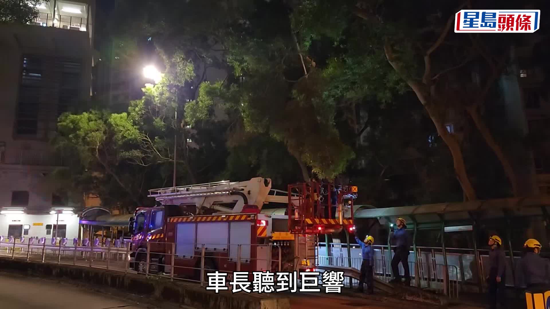 慈雲山大樹疑颱風吹至下垂 九巴途經撞爆上層玻璃