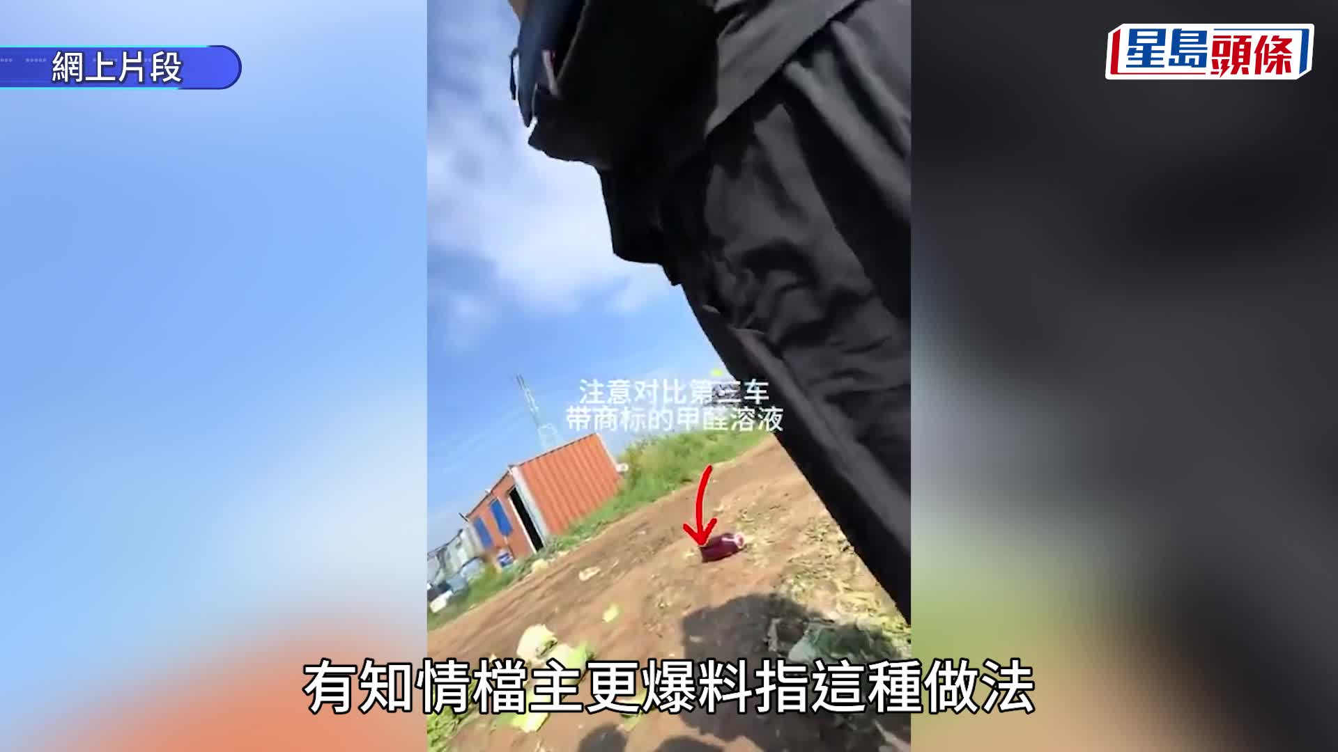 广州大排查严防「甲醛大白菜」 买家忧心不敢买 绍菜批发价连日大跌两成