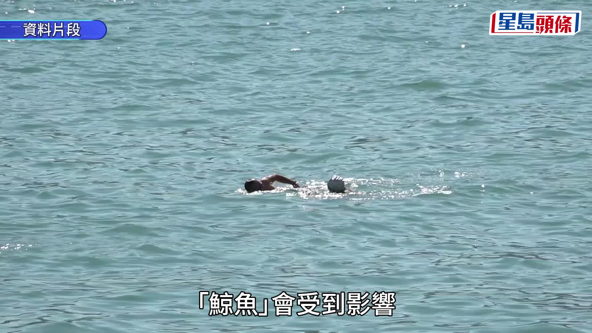 熱帶氣旋「鯨魚」增強殺入本港800公里 「白海豚」首報出爐 明日見「鯨吞」結果