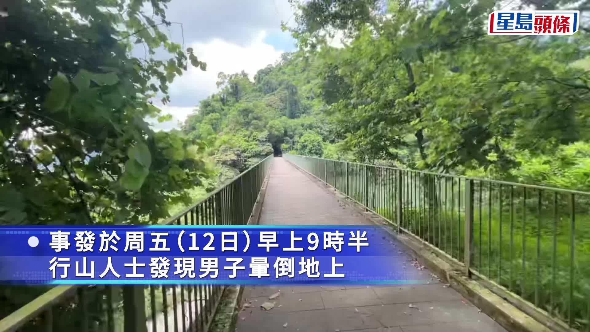 元朗錦田清潭上灌溉水塘採菇男倒臥密林 當場不治