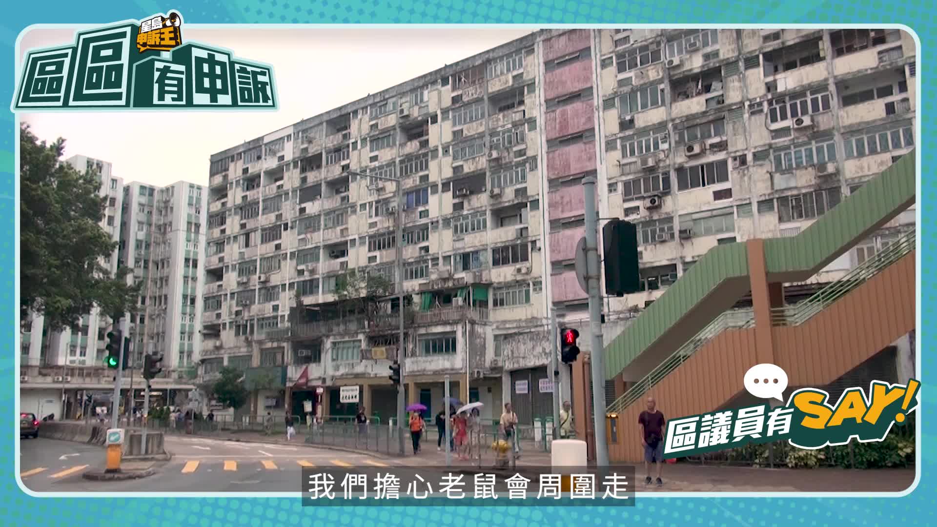 深水埗林偉文：大坑西邨清拆重建 房署酒精滅鼠器值得其他部門仿效