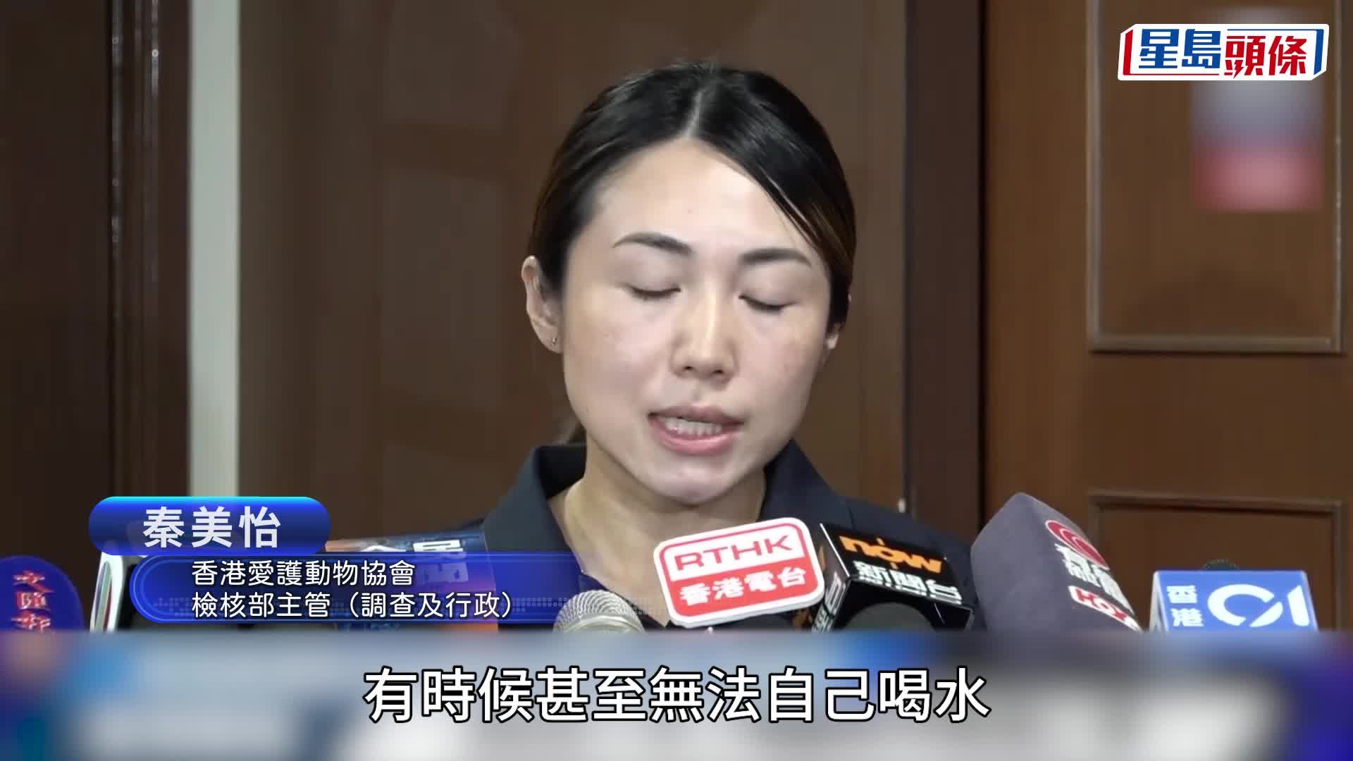 旺角女情侶棄狗｜愛協指金毛狗B已安樂死 患末期狗瘟極痛苦 無法飲水持續抽搐
