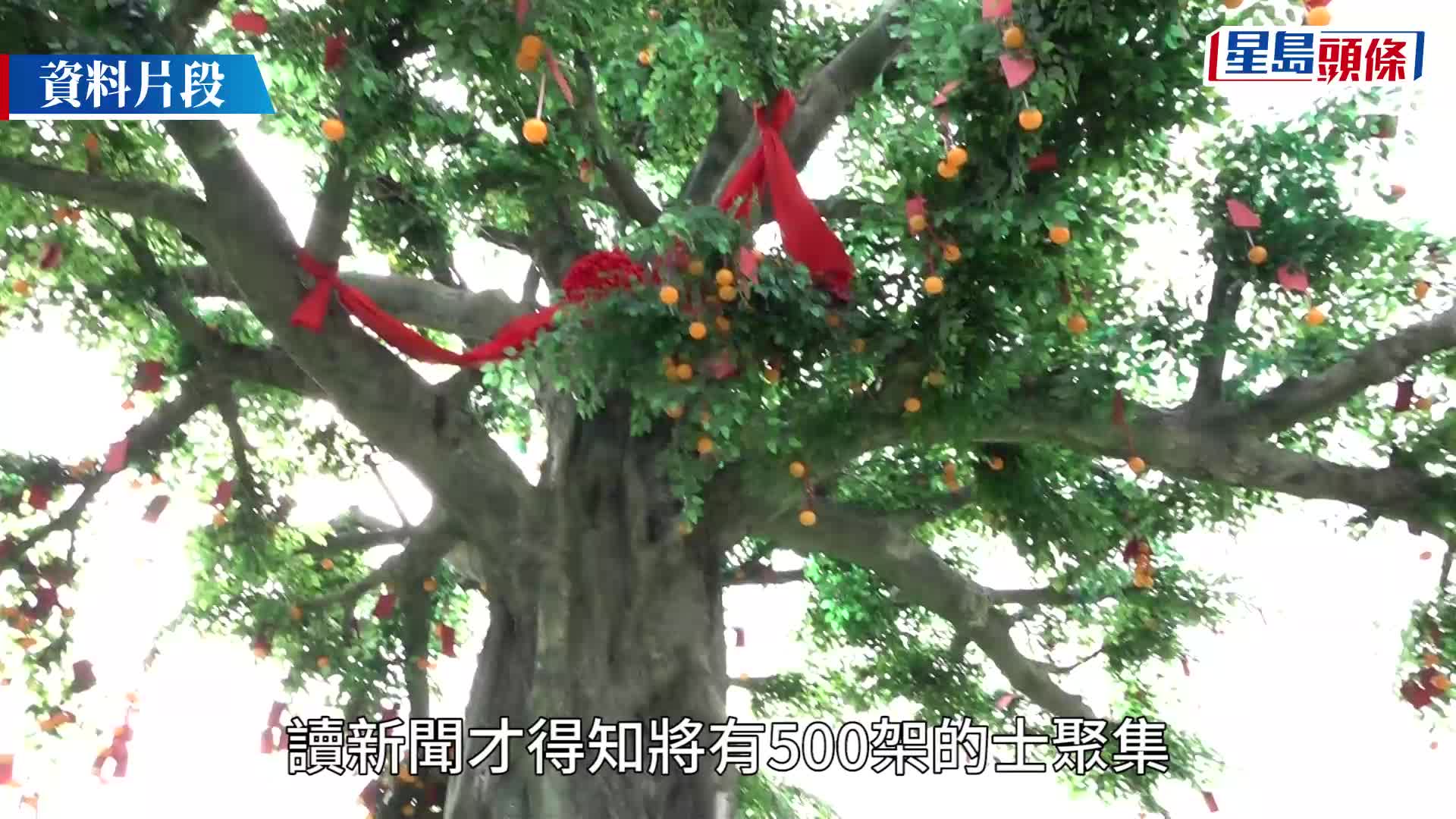 的士業明早11時起罷工3小時 逾500輛的士參與 林村許願廣場拒借場
