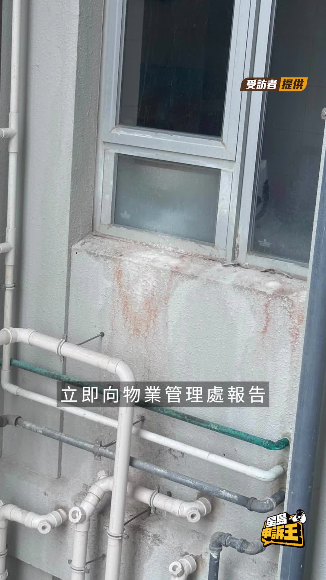 星島申訴王 | 啟德新居屋外牆嚴重漏水 驚見「鐘乳石」奇景 專家教搵源頭 分辨責任誰屬