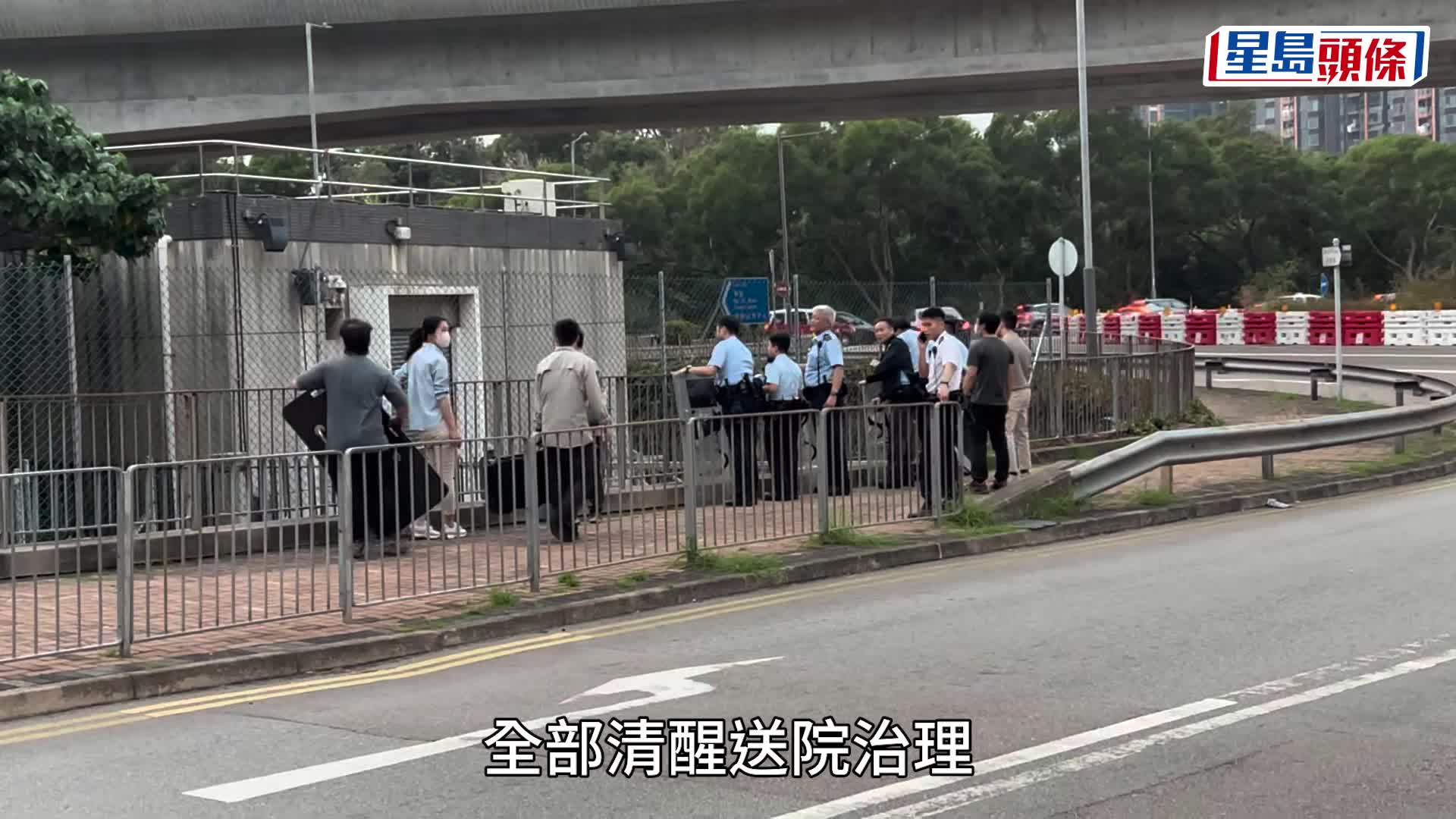 野猪大闹乌溪沙 横冲直撞伤及5人包括渔护署职员 女枪手开麻醉枪捕获