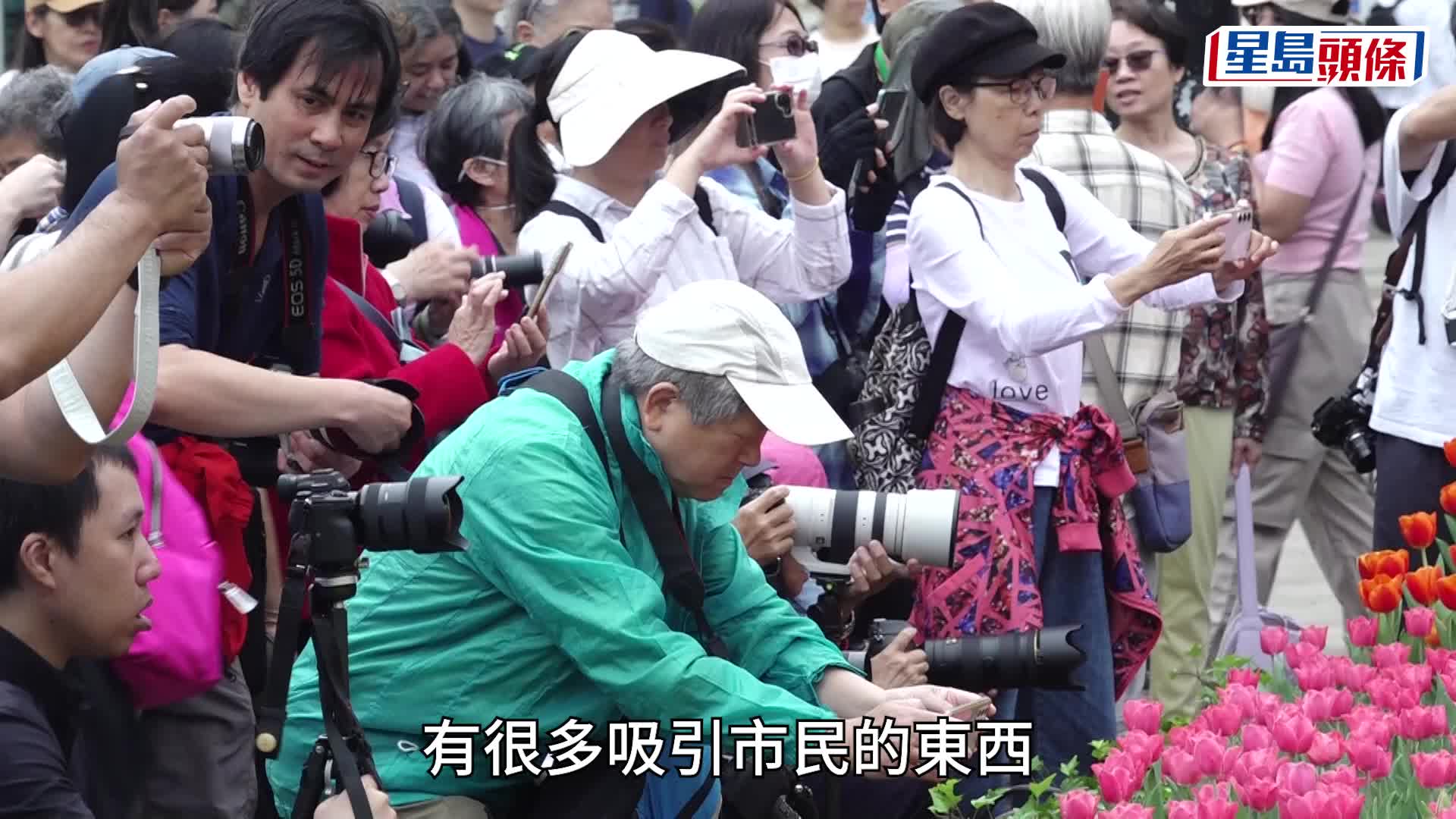 花展2025｜首日吸引眾多學生結伴寫生，有參展人讚印象深刻冀下屆再來。陳浩元攝