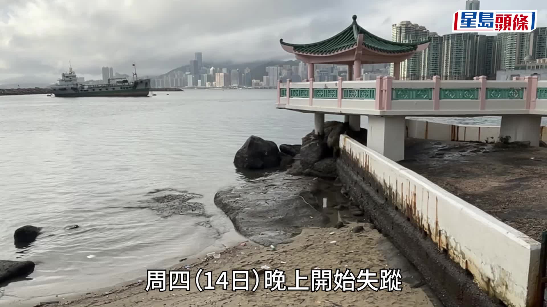 蔡楚輝攝