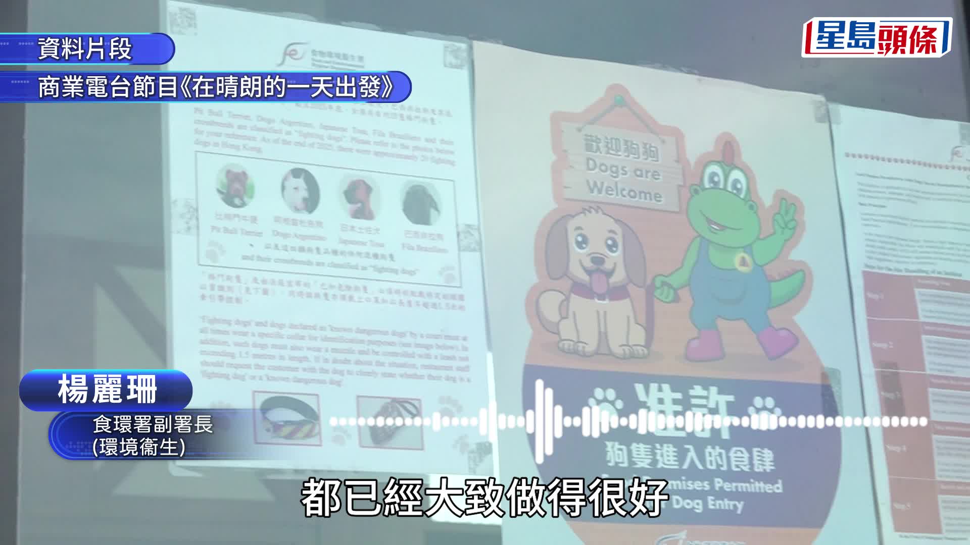 狗隻入食肆︱食環署：約十多間食肆退出申請 收到意見涉及狗帶、狗隻「唔覺意碰到枱面」等