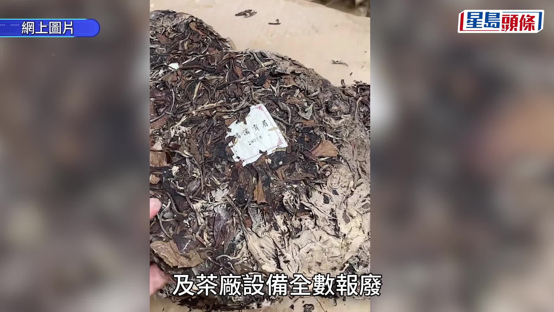 「中國白茶第一鎮」｜ 福鼎點頭鎮遭暴雨重創損失近¥2億 茶商百萬庫存一夜泡