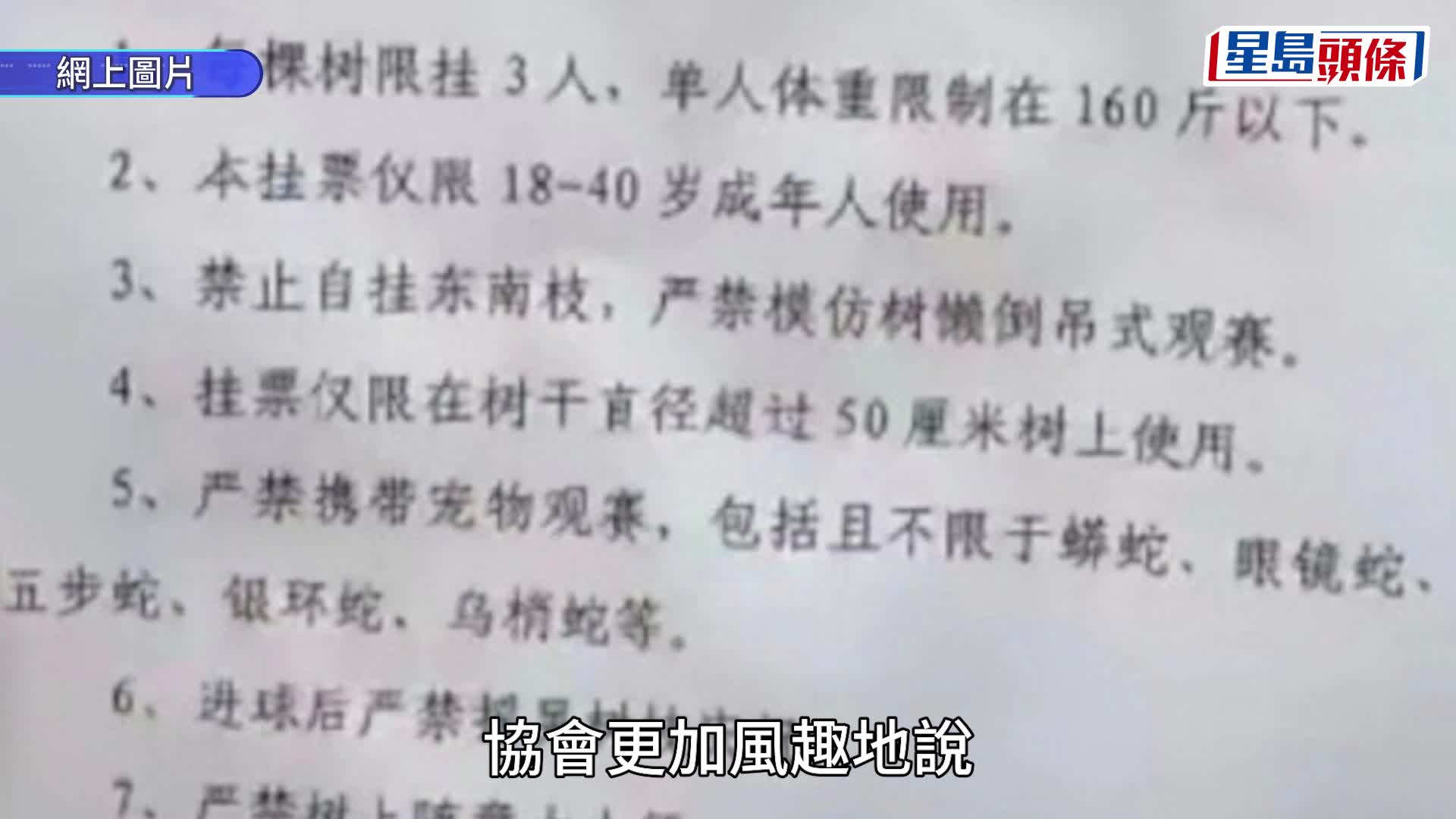 湘超永州主場推出樹上「掛票」。抖音@Mr.歡歡