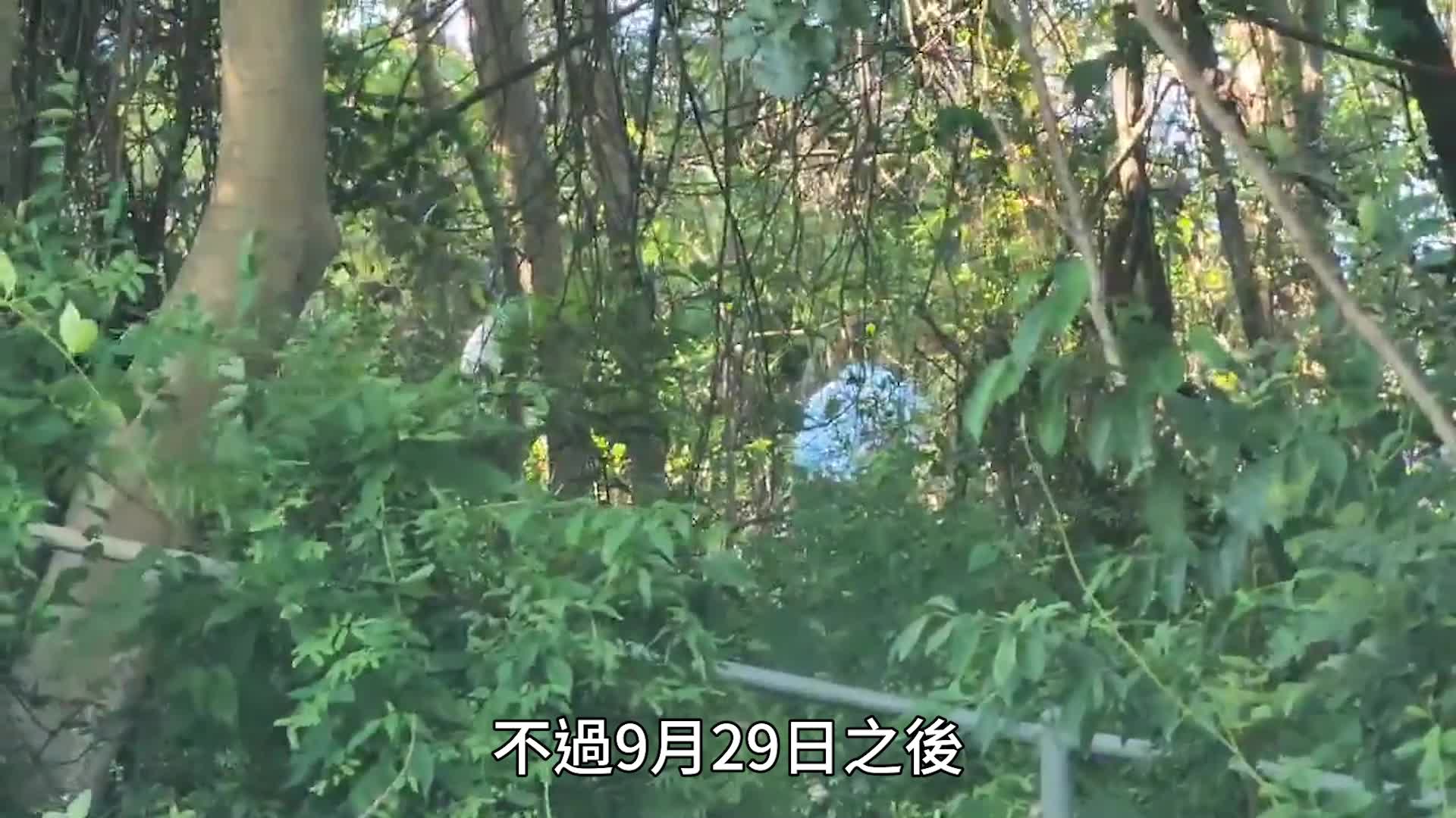 七旬翁上月尾離家行山失蹤 子報警求助 揭伏屍上水虎地坳村山坡