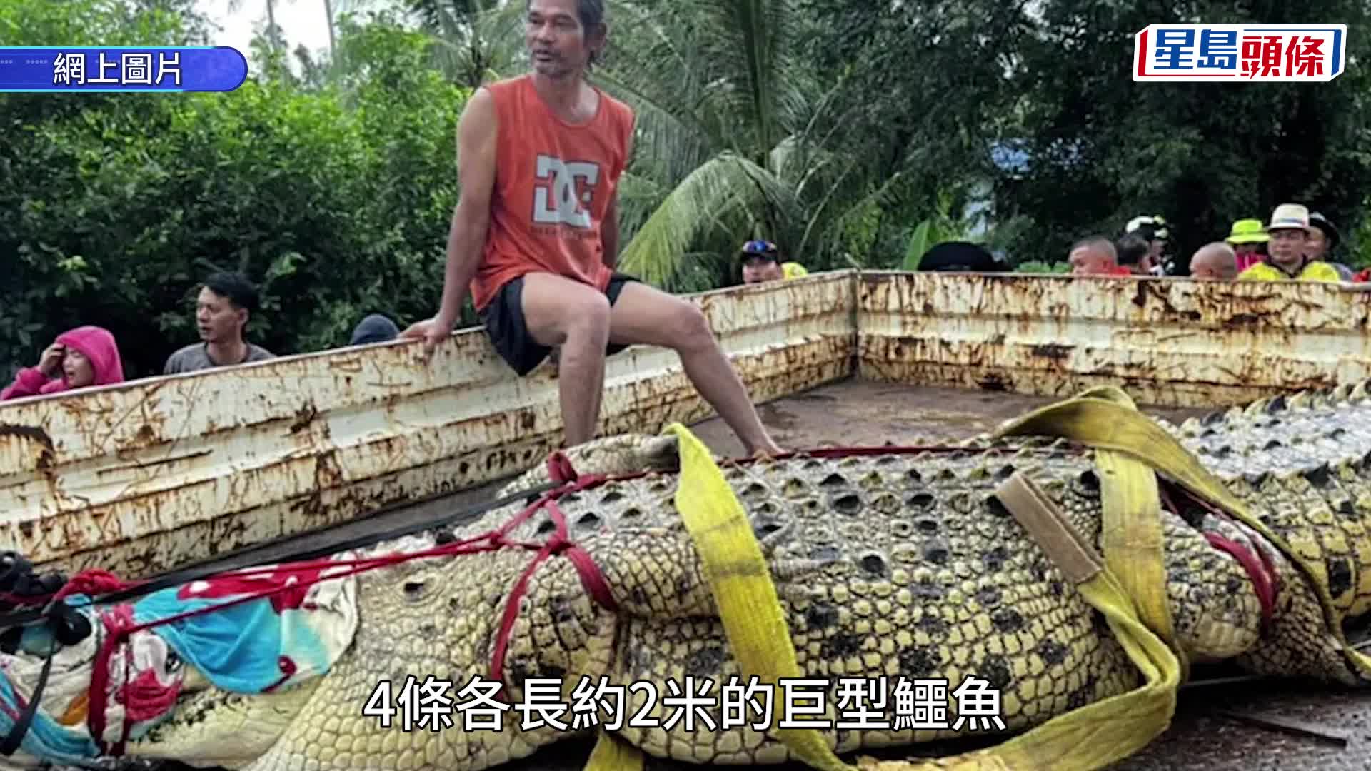 曼谷水浸致至少8死，超180萬人受災。