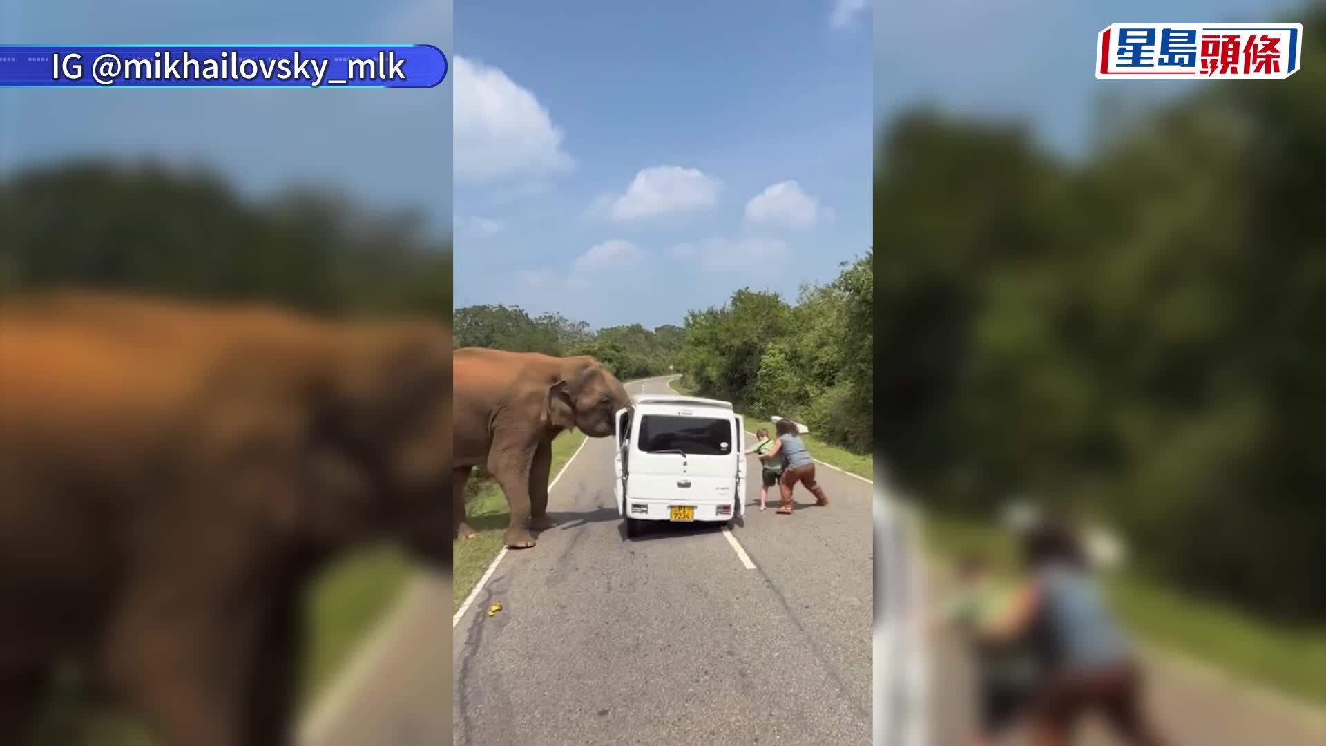 斯里蘭卡遊客疑一動作惹野象攻擊 抬起扯脫觀光車門猛撞 11歲童赤腳逃命