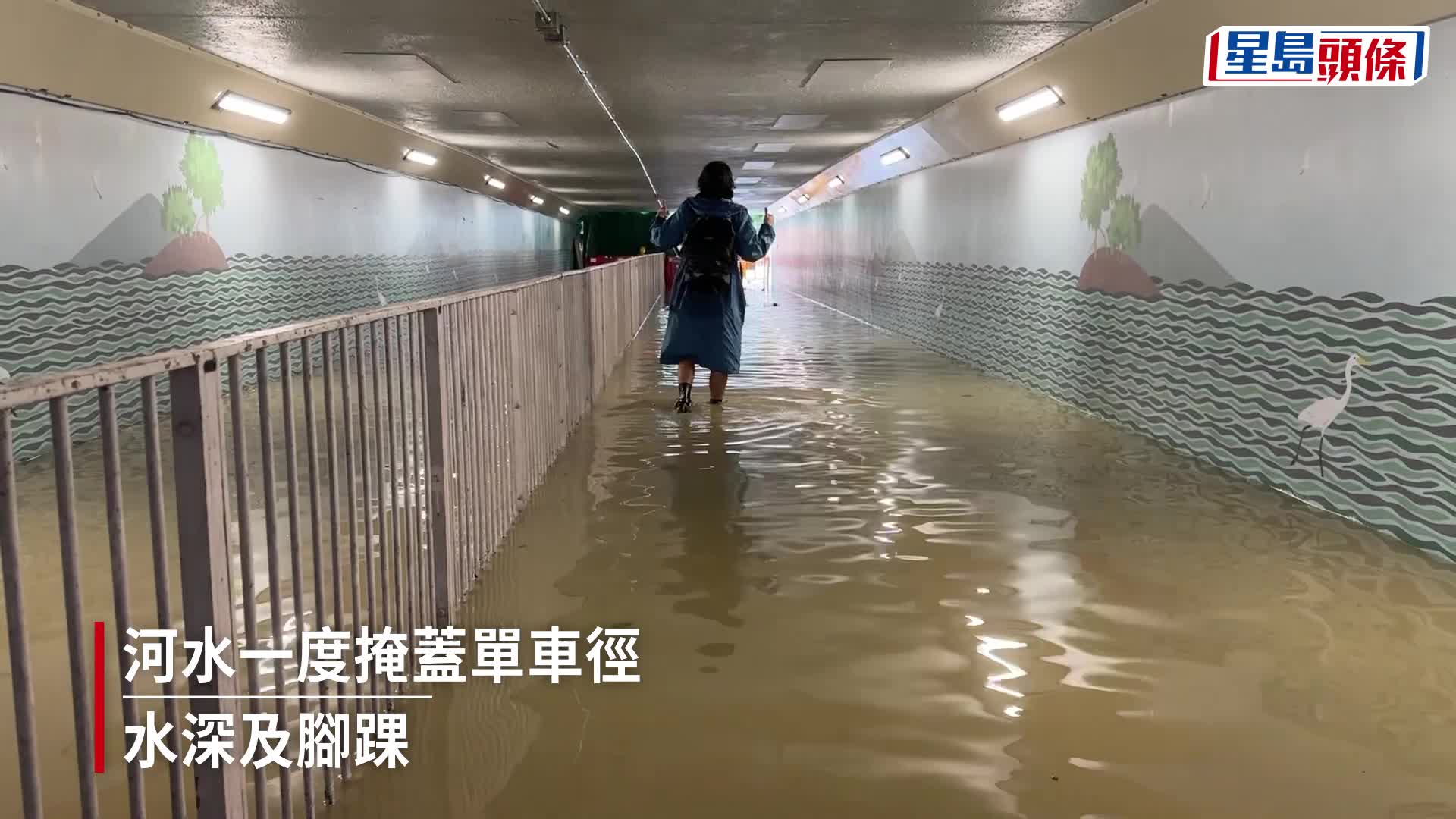城門河潮漲，水淹單車徑。