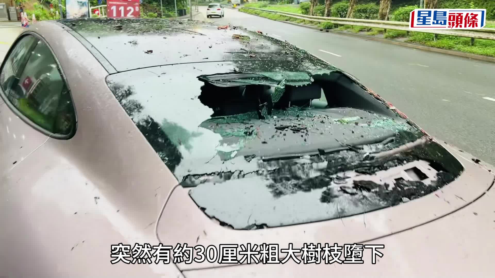 蔡楚輝攝