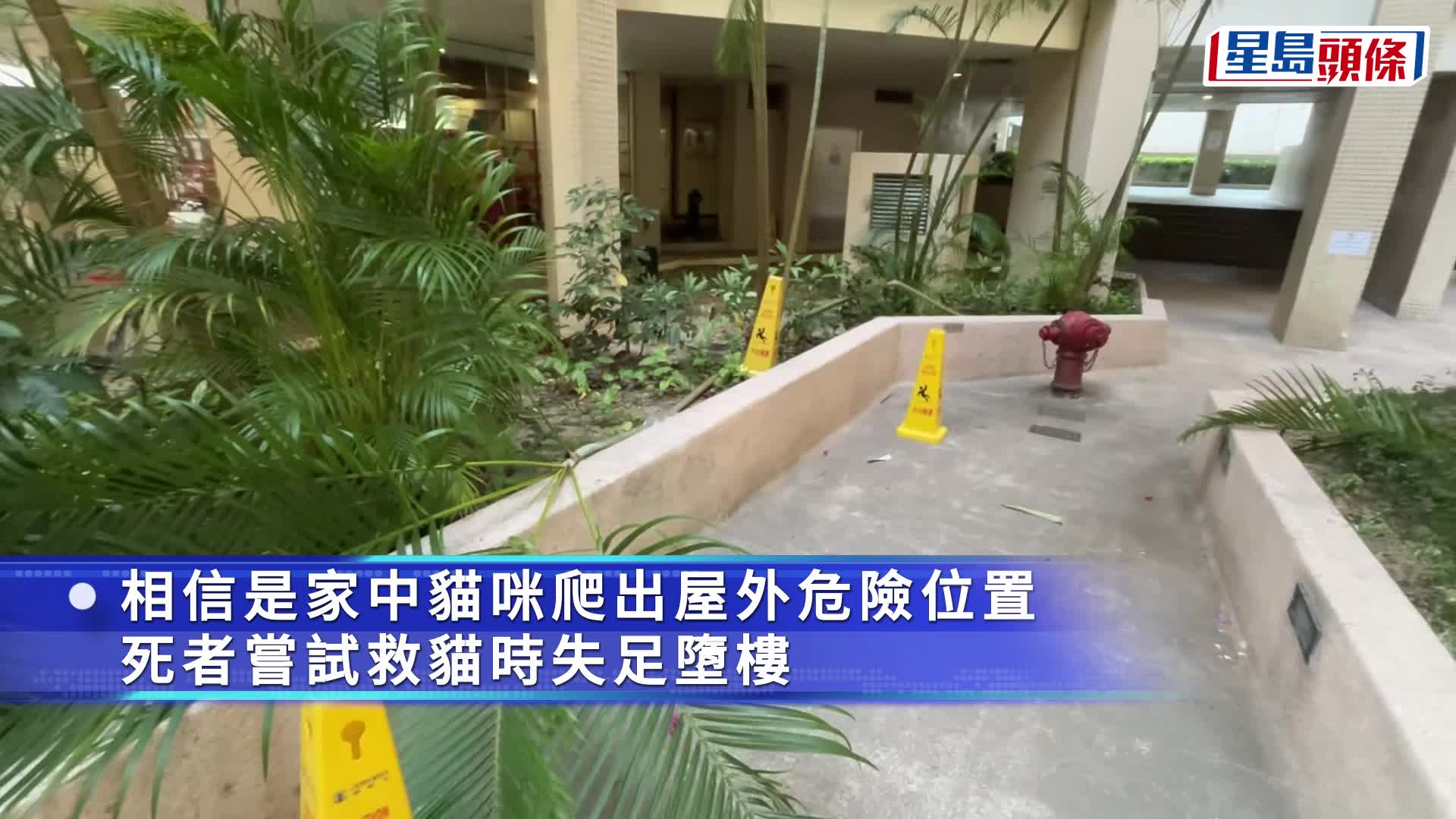 土瓜灣男子為救愛貓失足墮樓 倒卧花槽送院不治