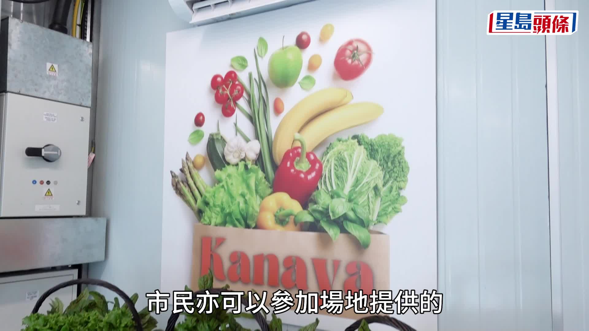 馬鞍山西沙路花園首個都市農場試驗項目今日開幕。