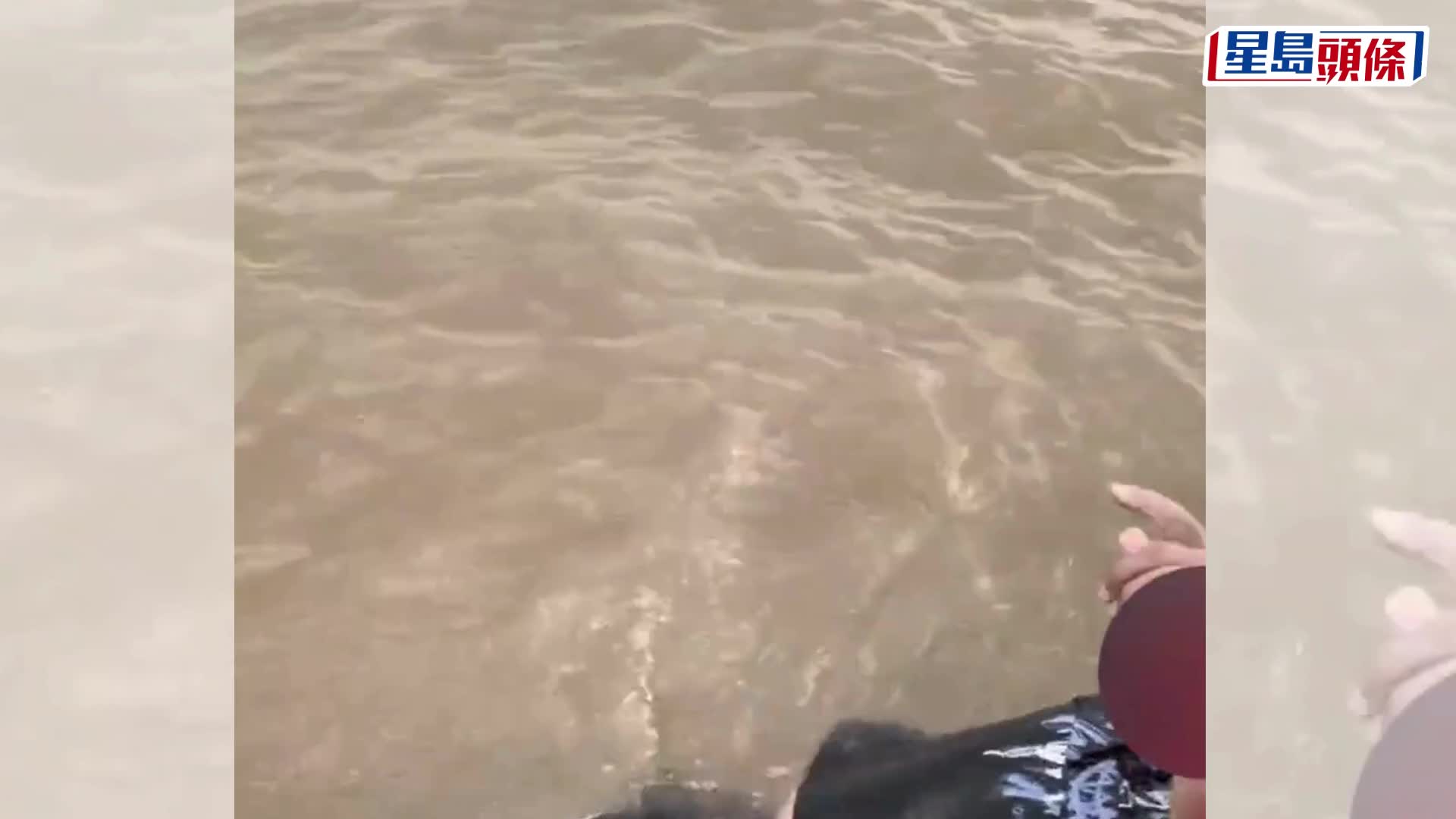 觀潮墮入錢塘江，大命男漂浮7小時奇蹟獲救。