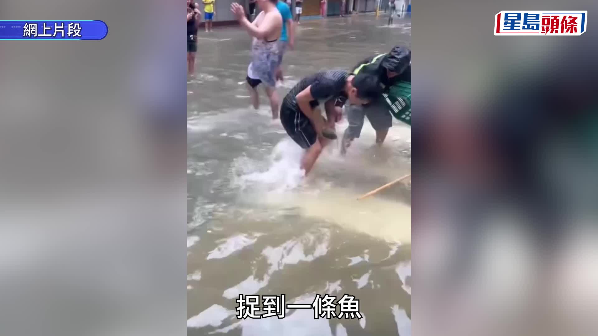 颱風樺加沙︱澳門人「內陸趕海」魚穫滿滿 網民笑稱十號風球下成功加餐