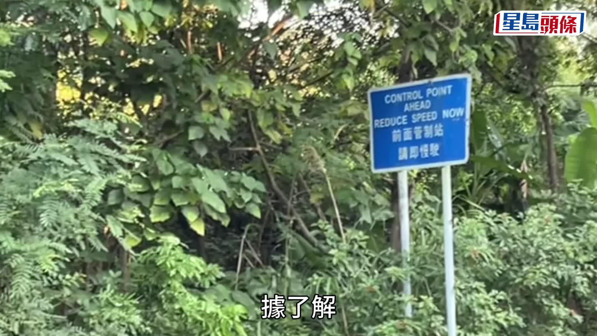 蔡楚輝攝